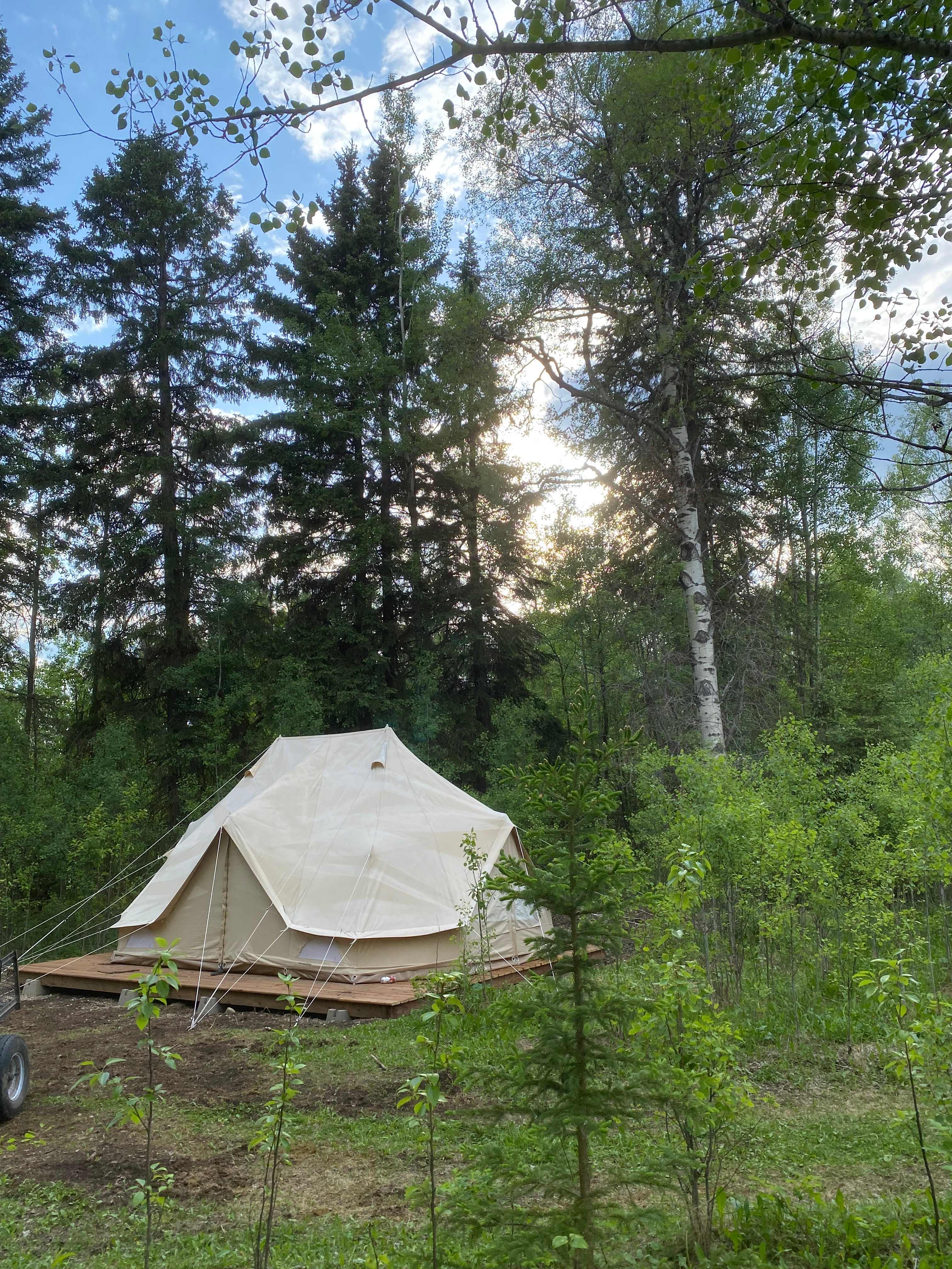 Picture of the site