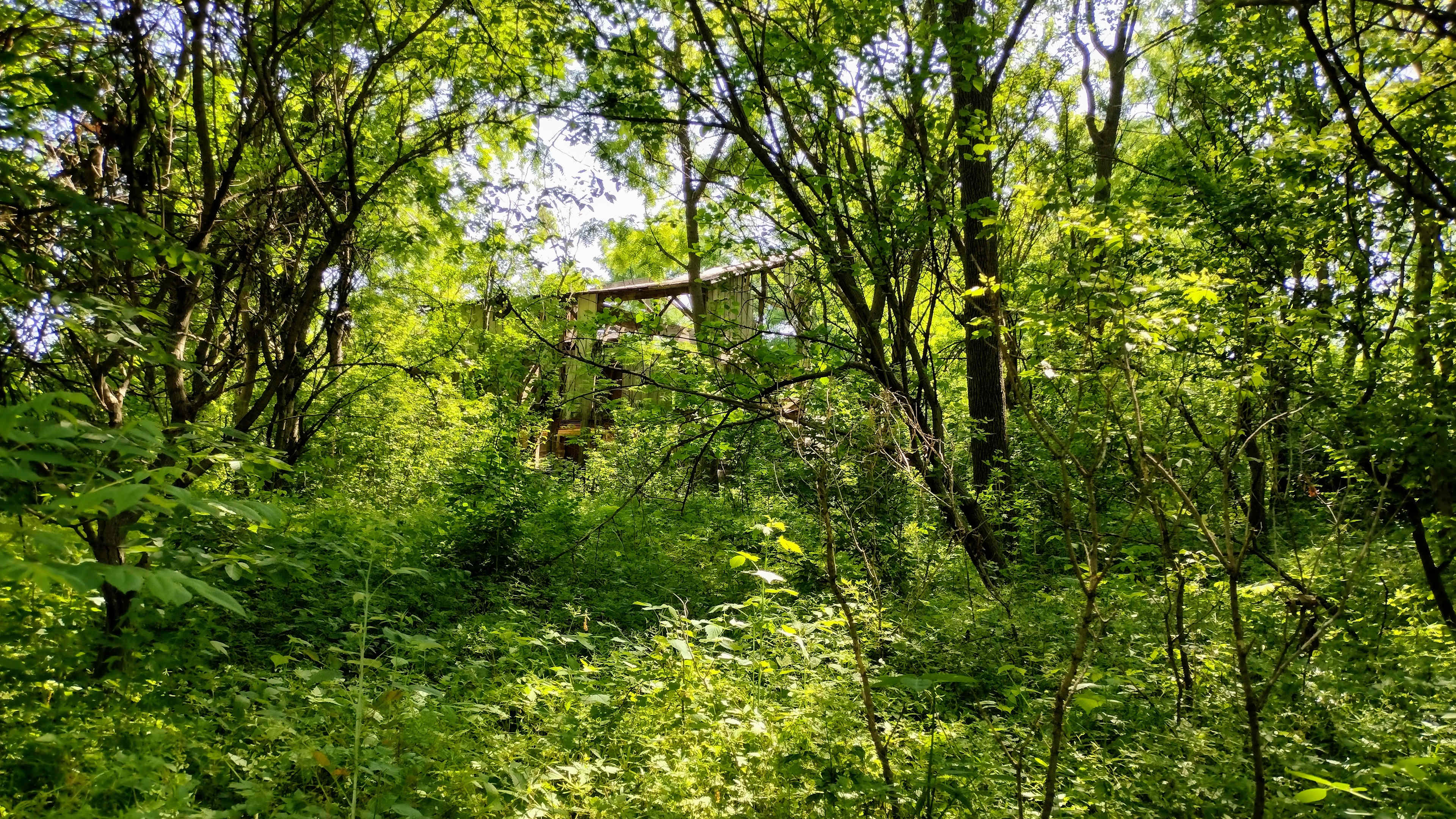Restoration Acres