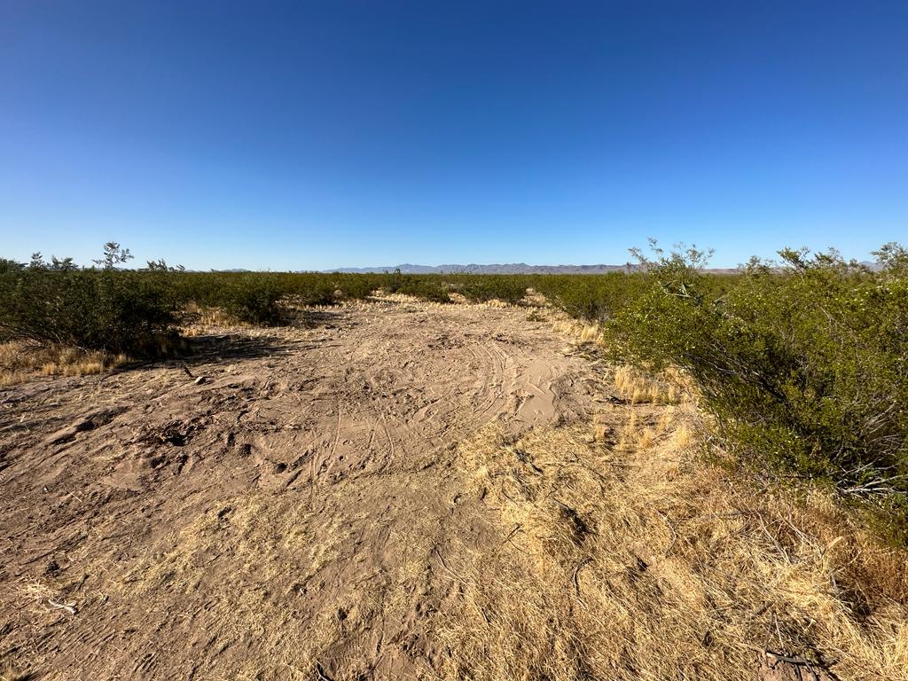 Campground Area
