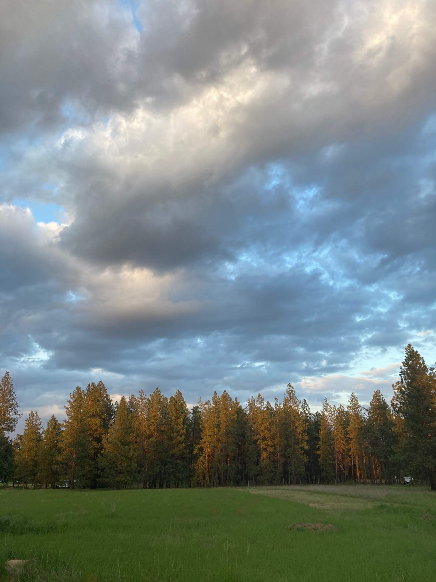 View in the back of the property. Amazing sunrises! 