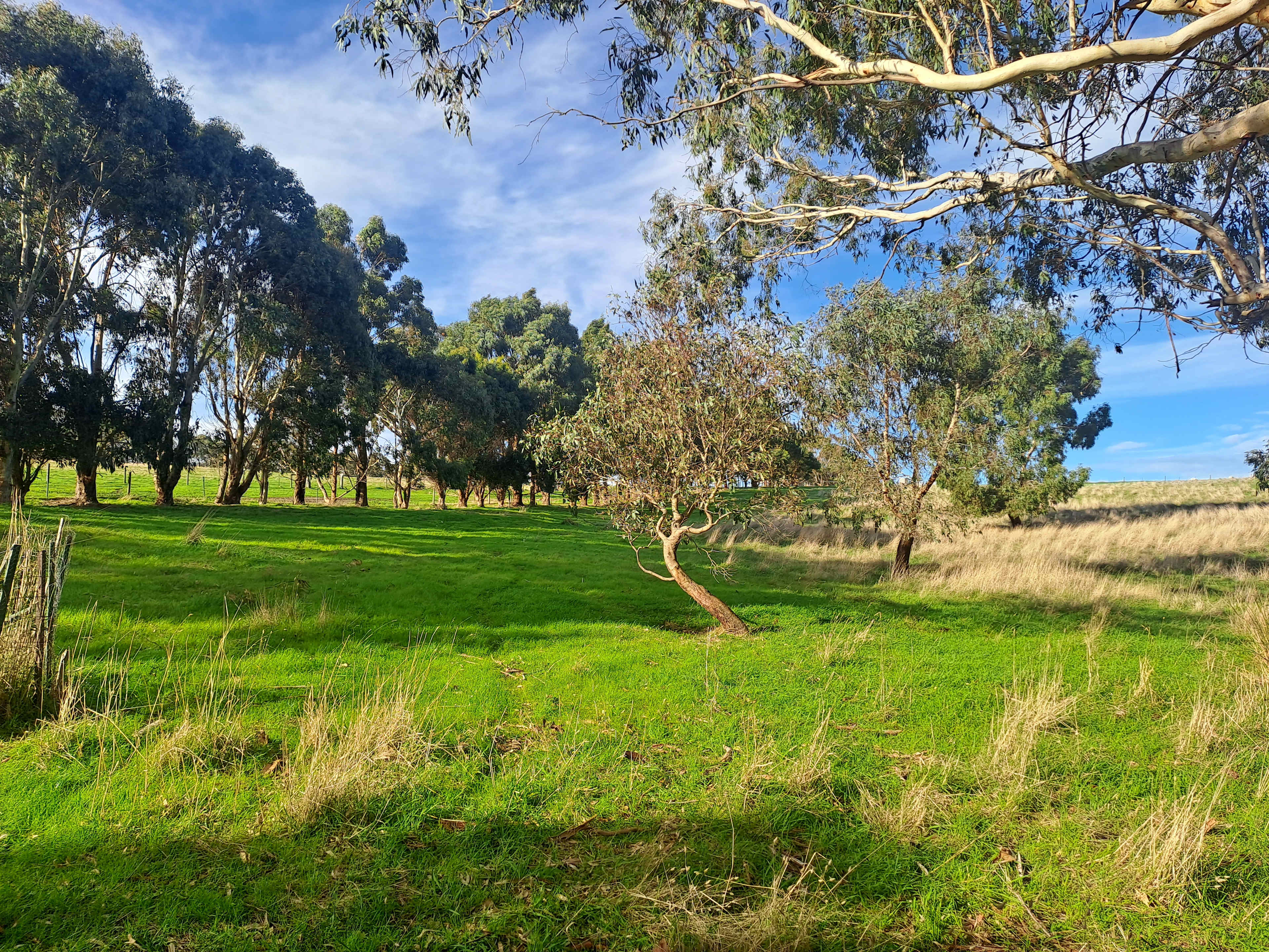Waitpinga Ridge | Creek Camp Site