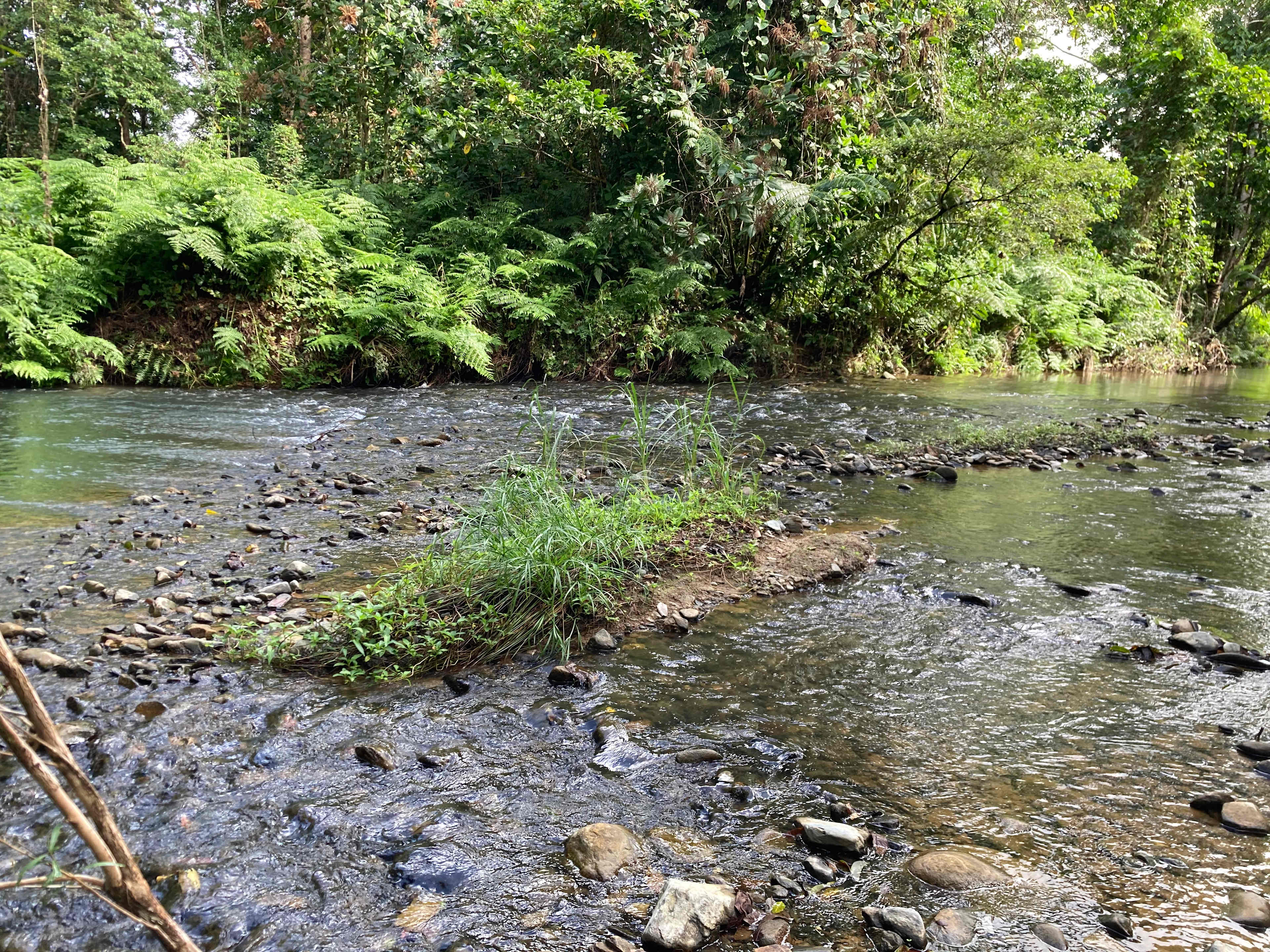 Beautiful running Creek 