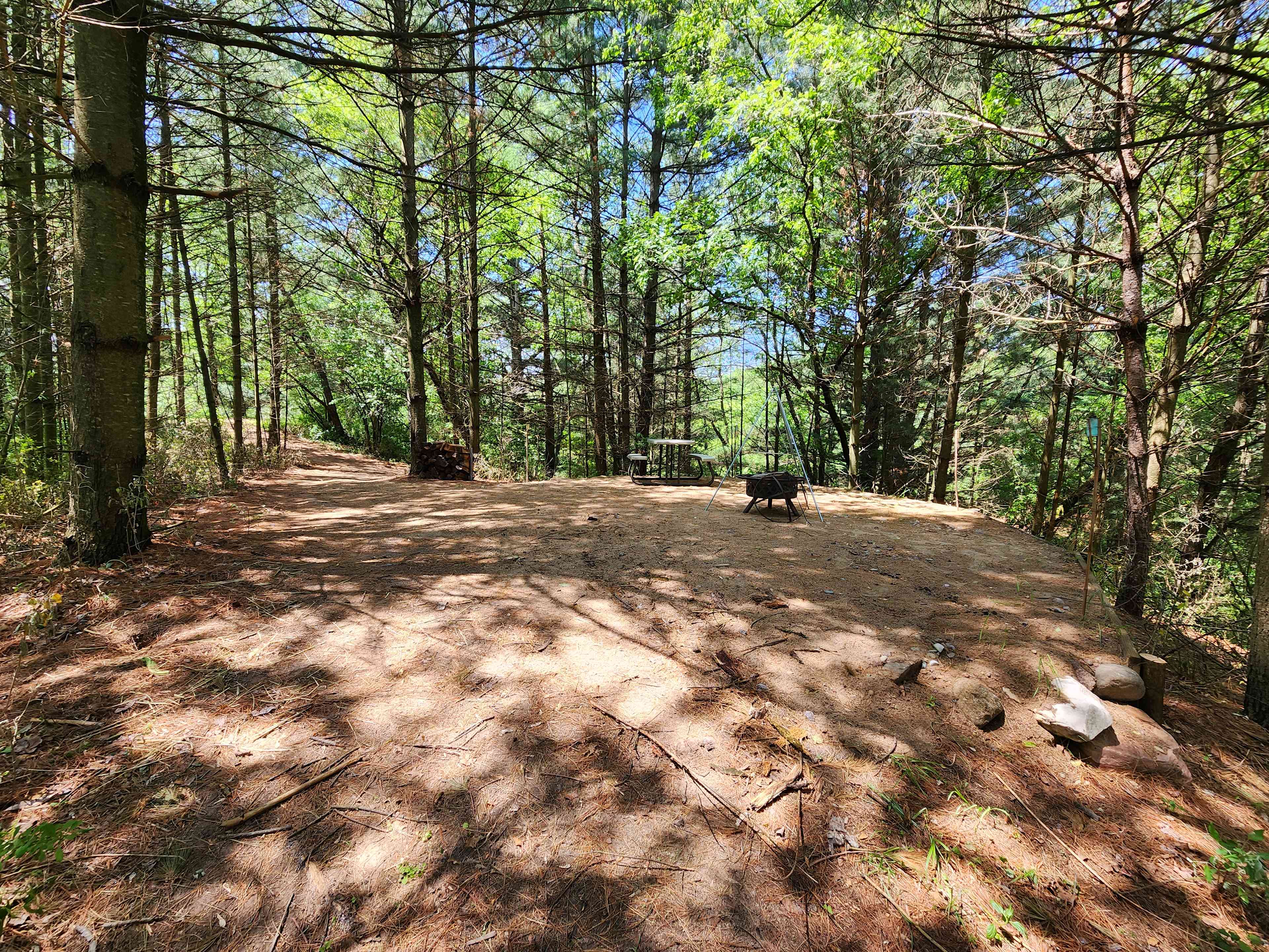 Picture of the site