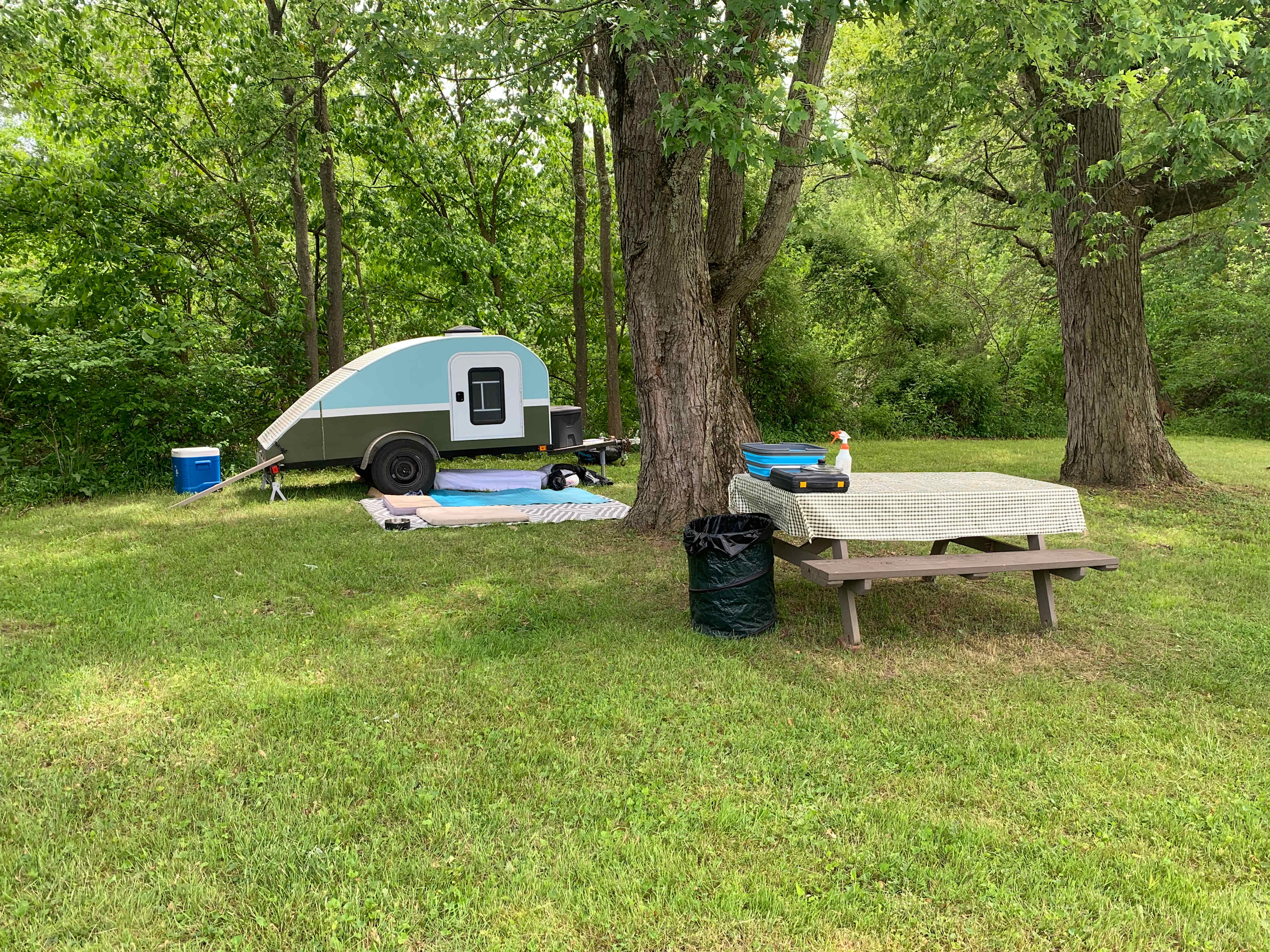 Picture of the site