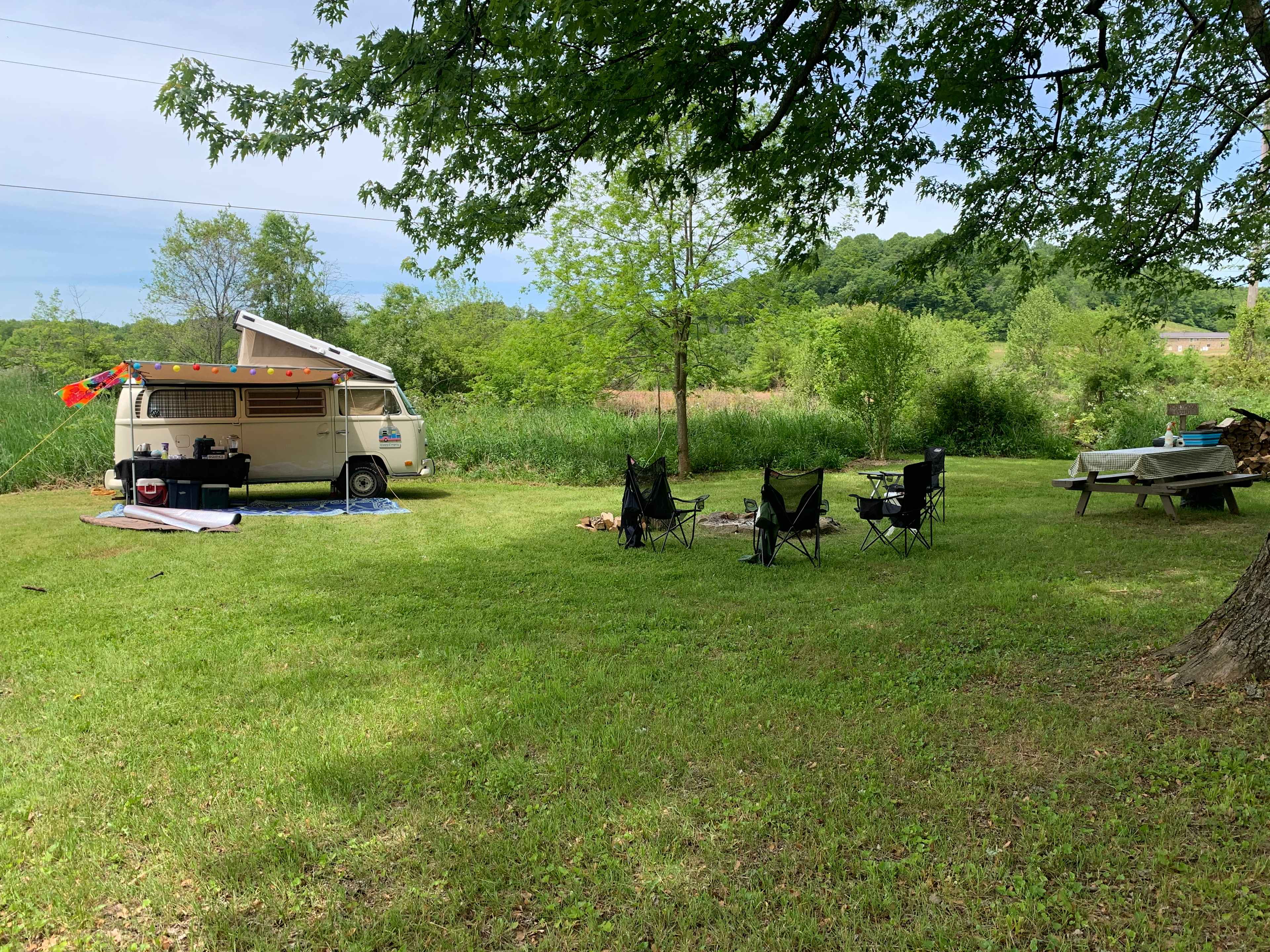 Picture of the site
