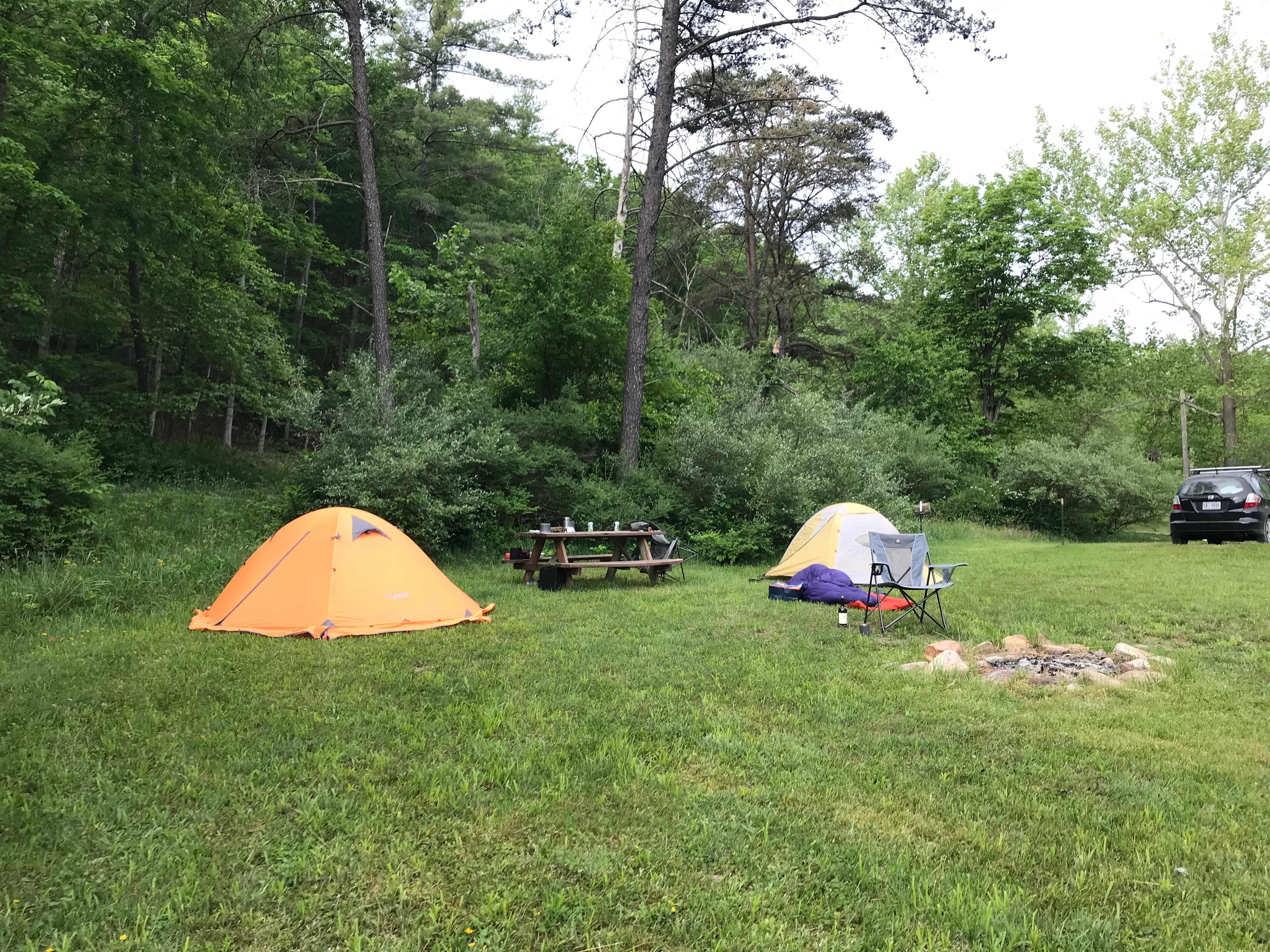 Picture of the site
