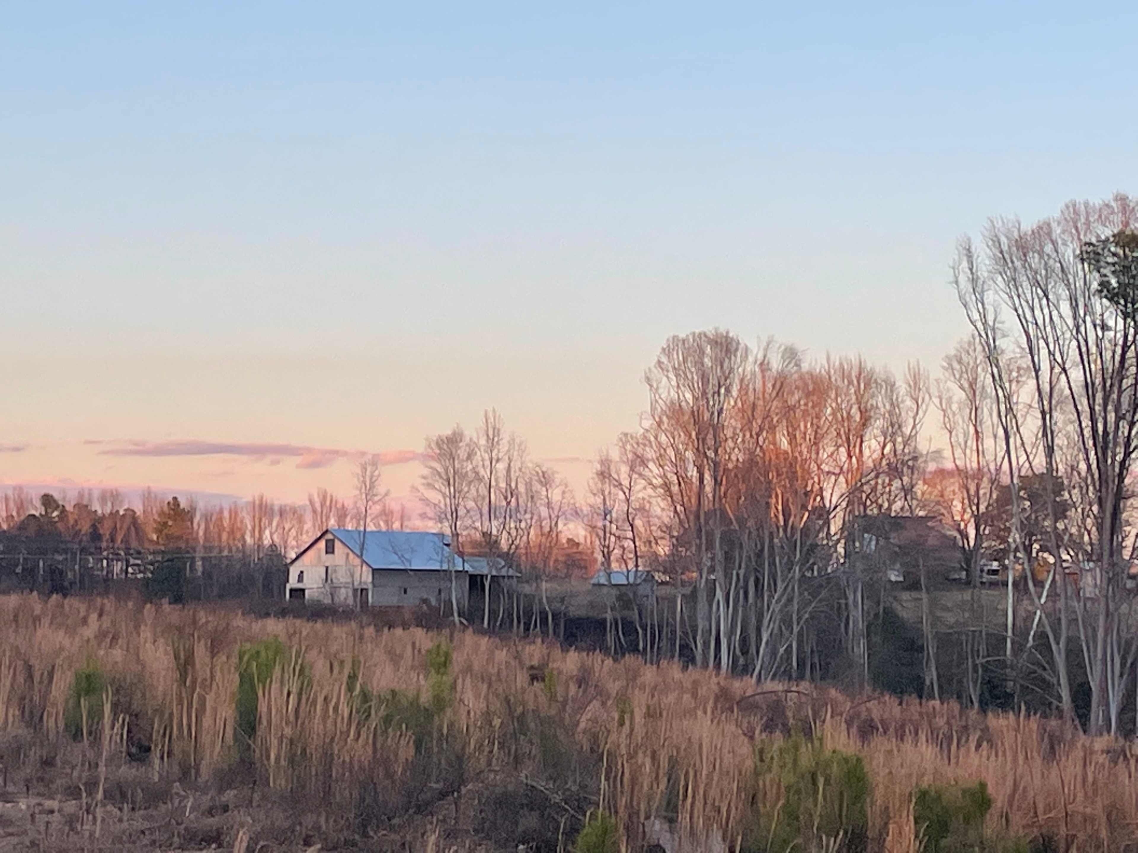 Bracey Farm