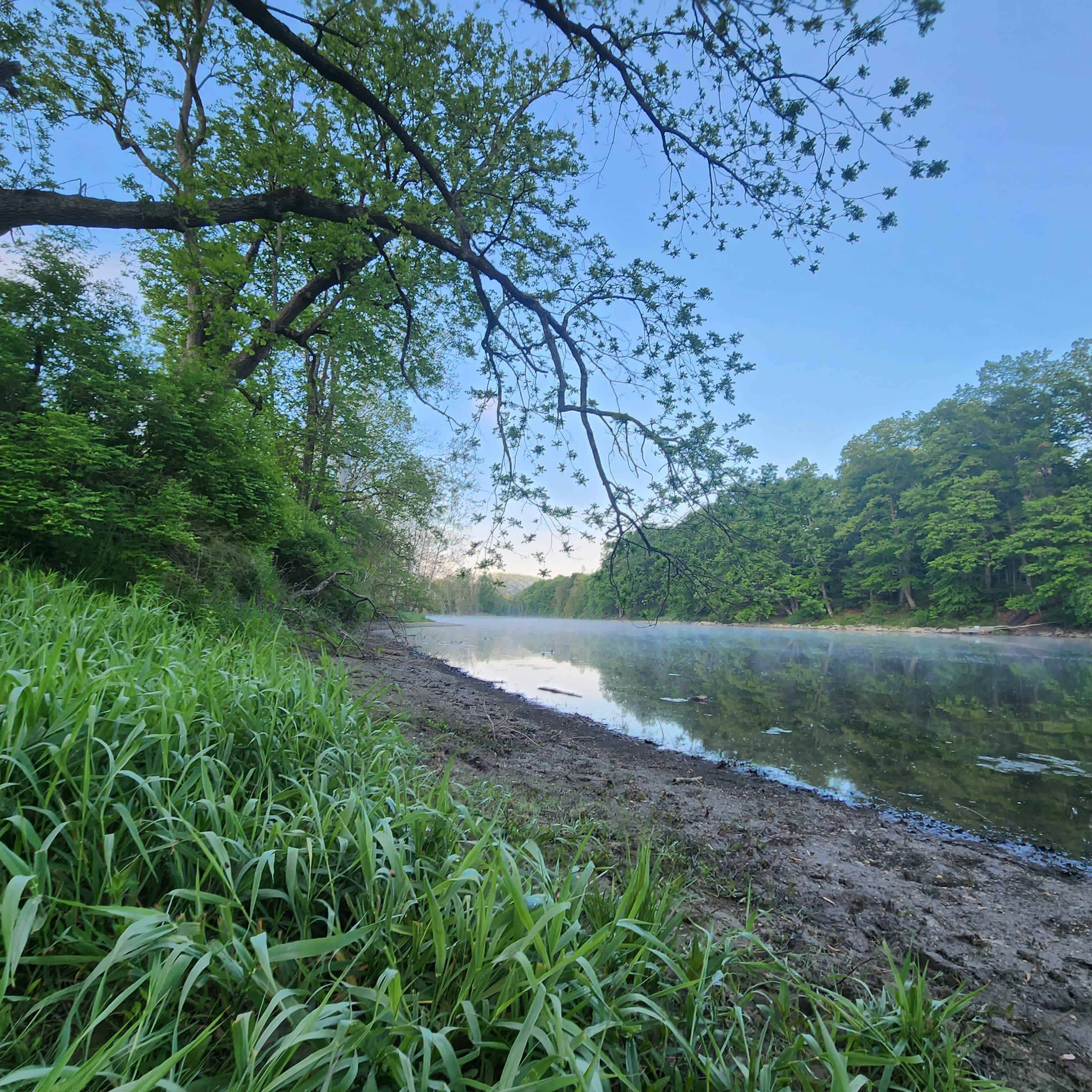 Picture of the site