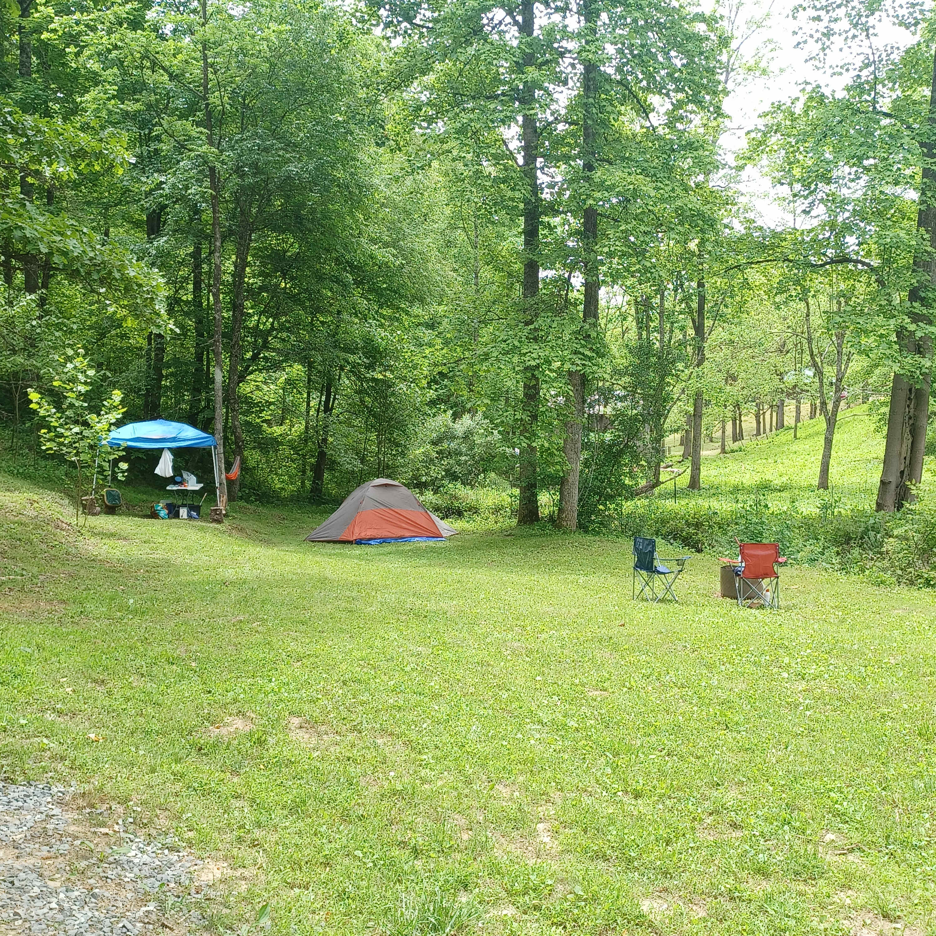 Picture of the site
