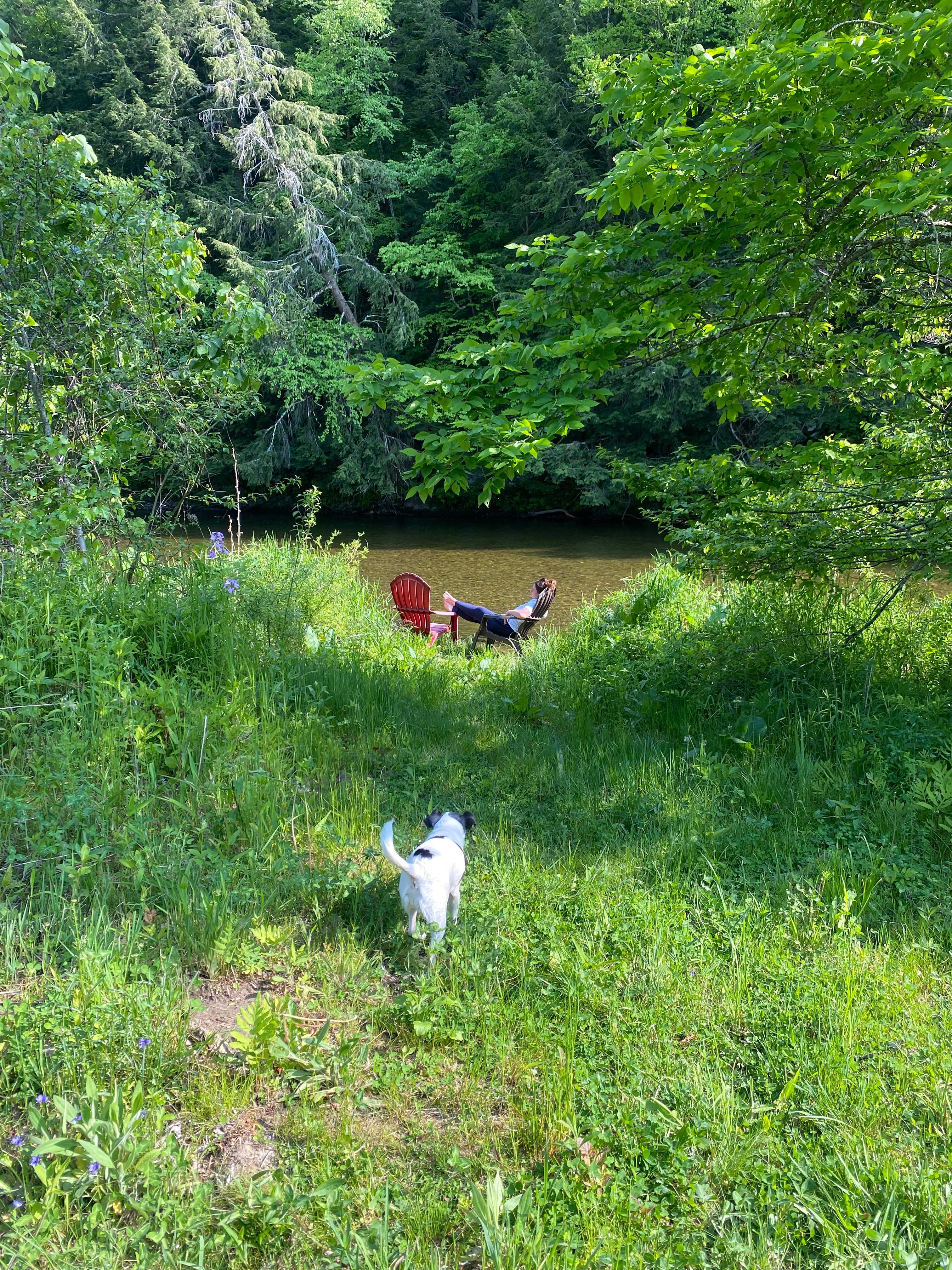 Picture of the site