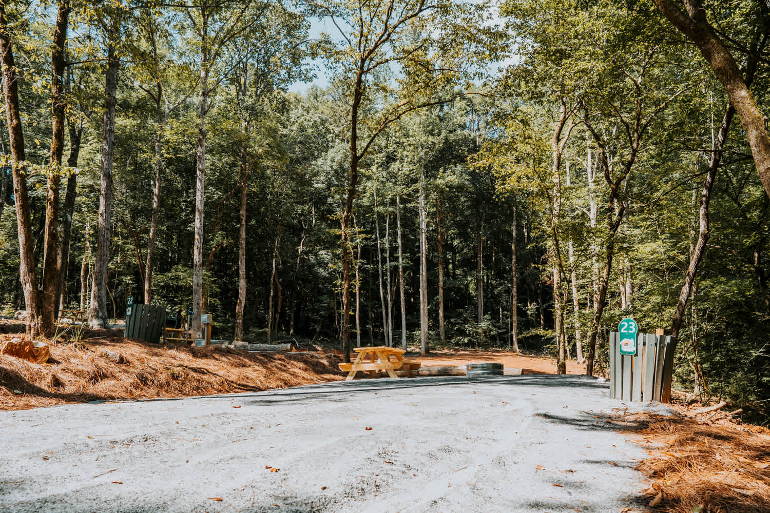 Picture of the site