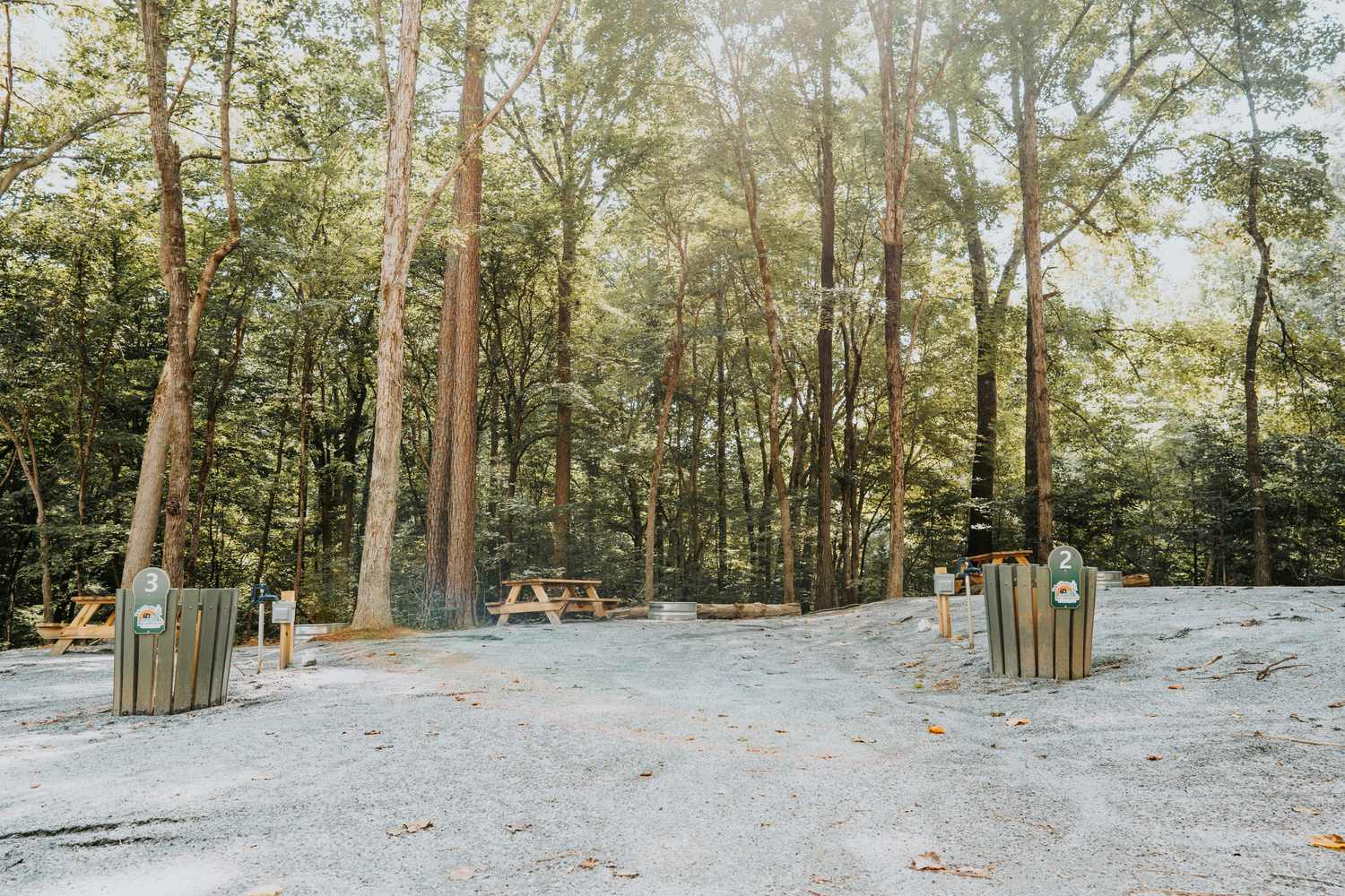 Picture of the site