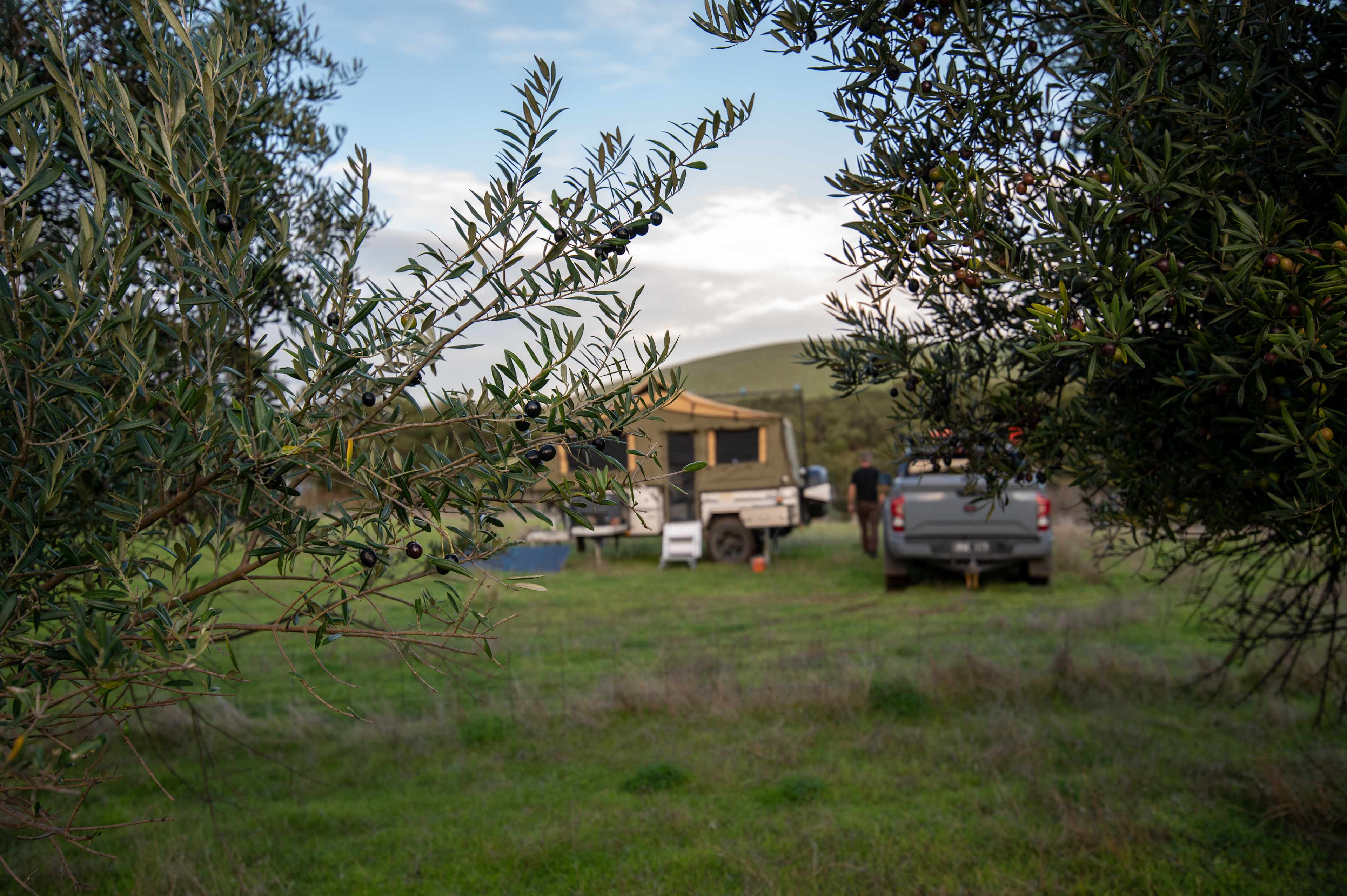 Jacob’s Creek Farm, Krondorf