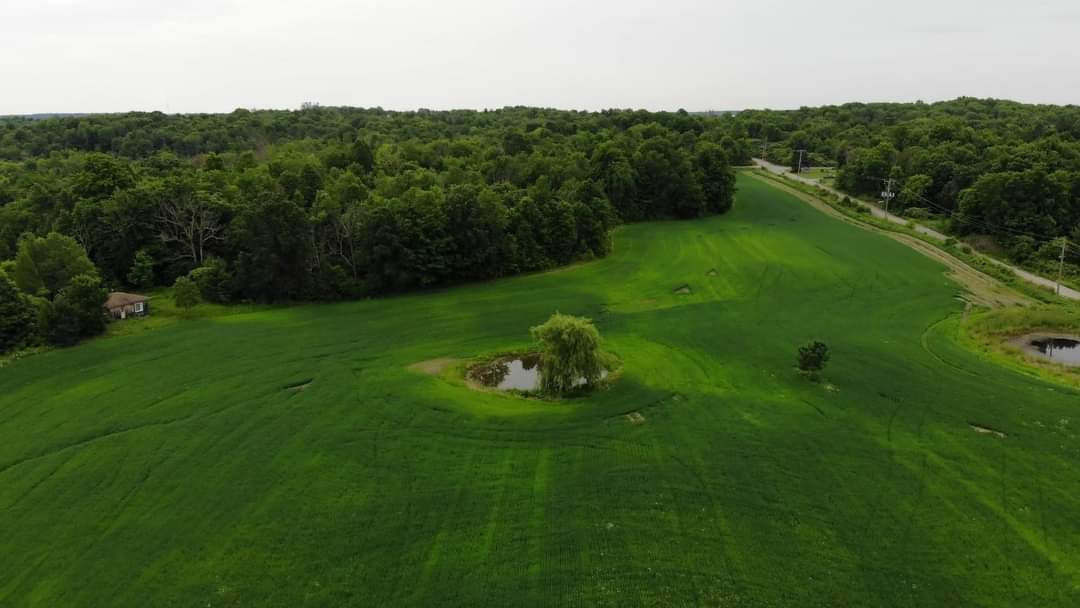 Thousand Islands - Willow Pond Farm