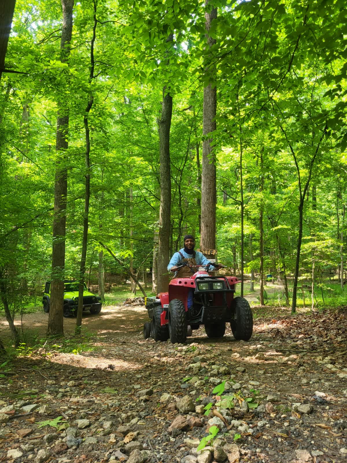 Picture of the site