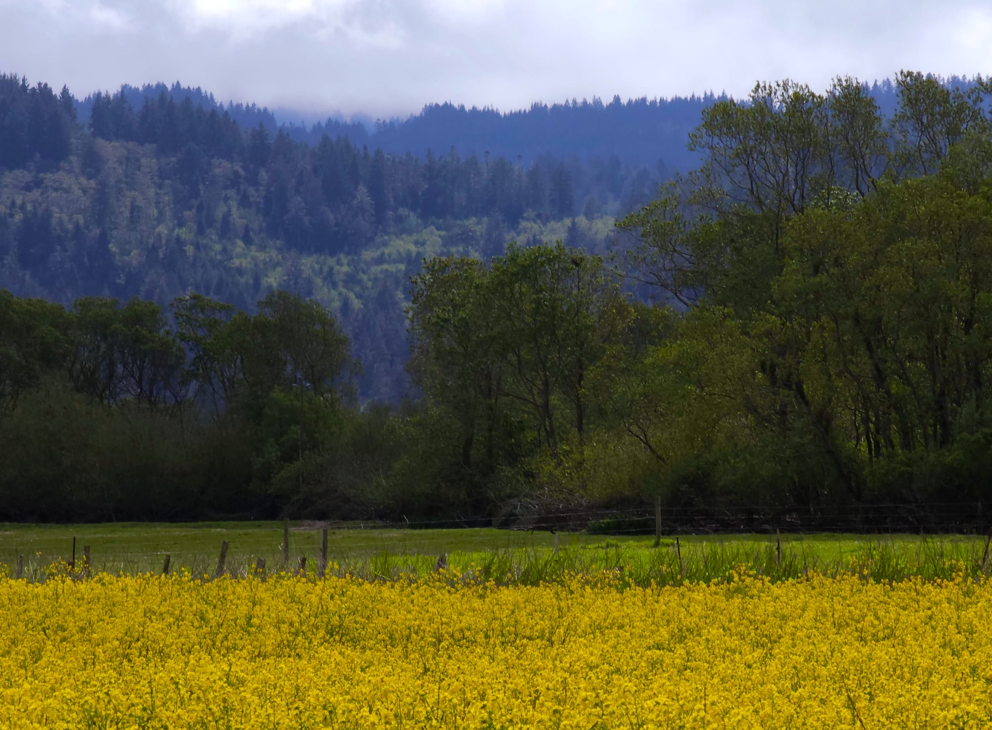 Farm Retreat at Hidden Meadow