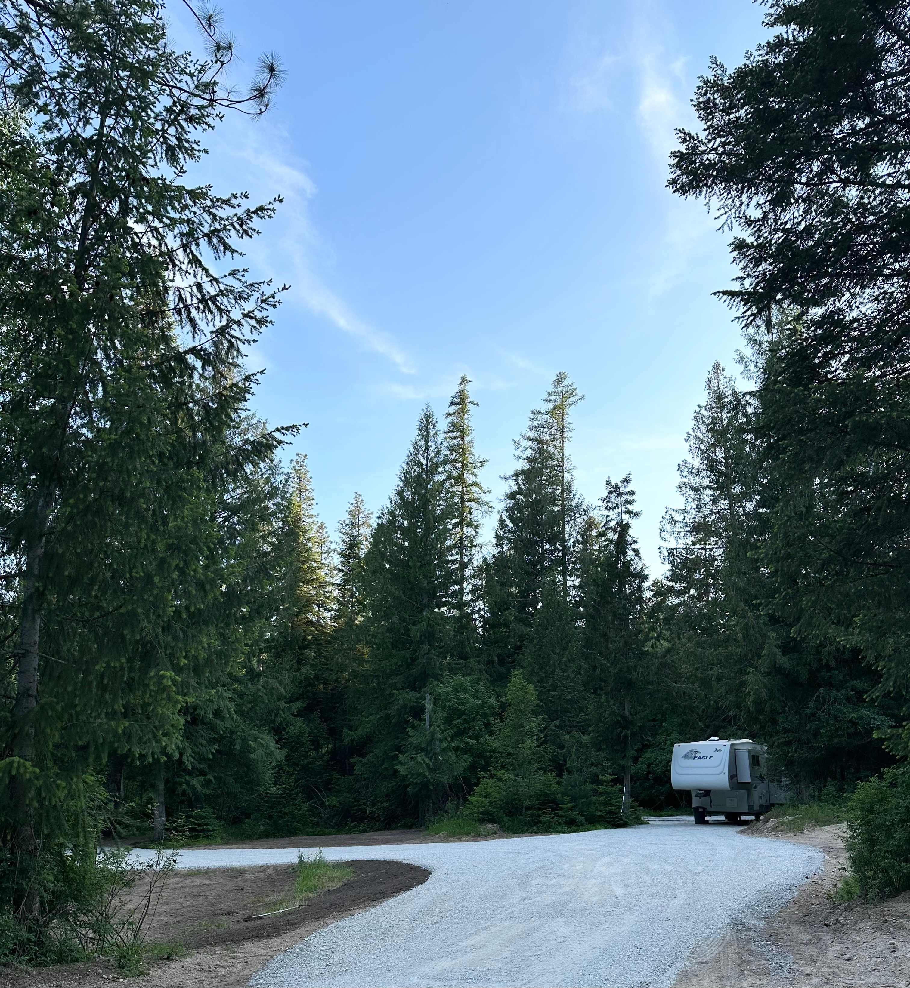 Turnipseed Creek Campsites