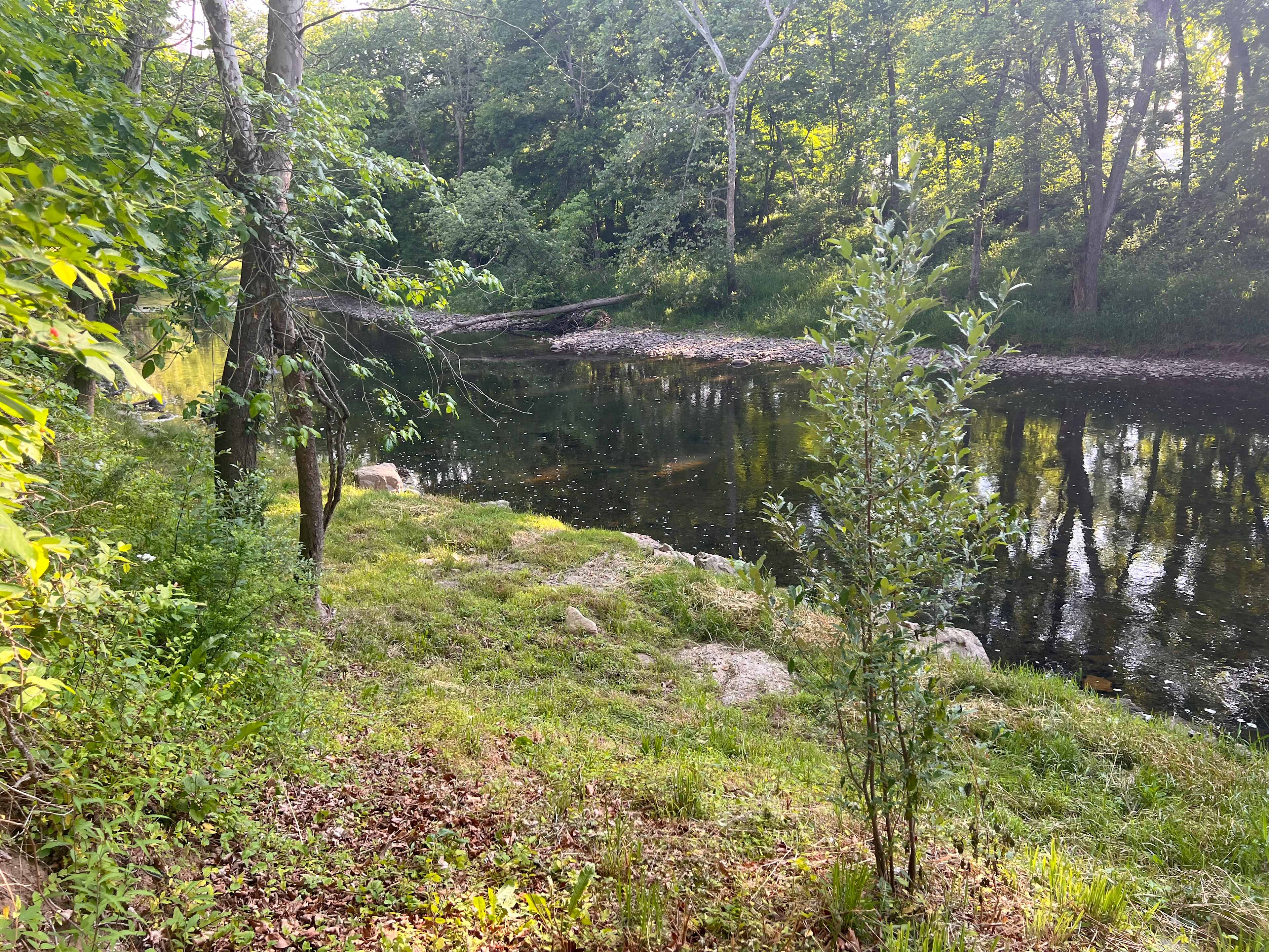 Hoover River Campsite