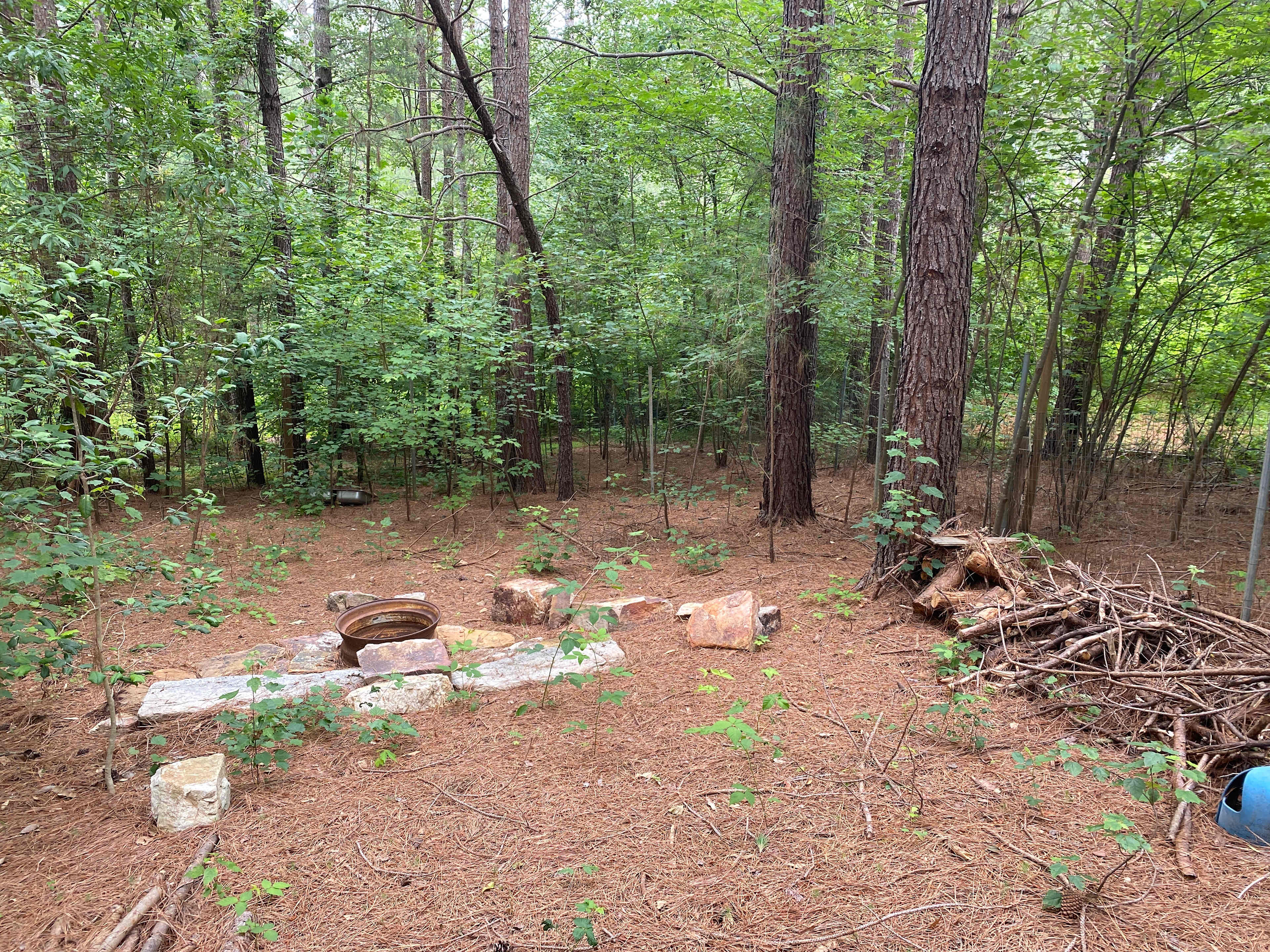 Picture of the site