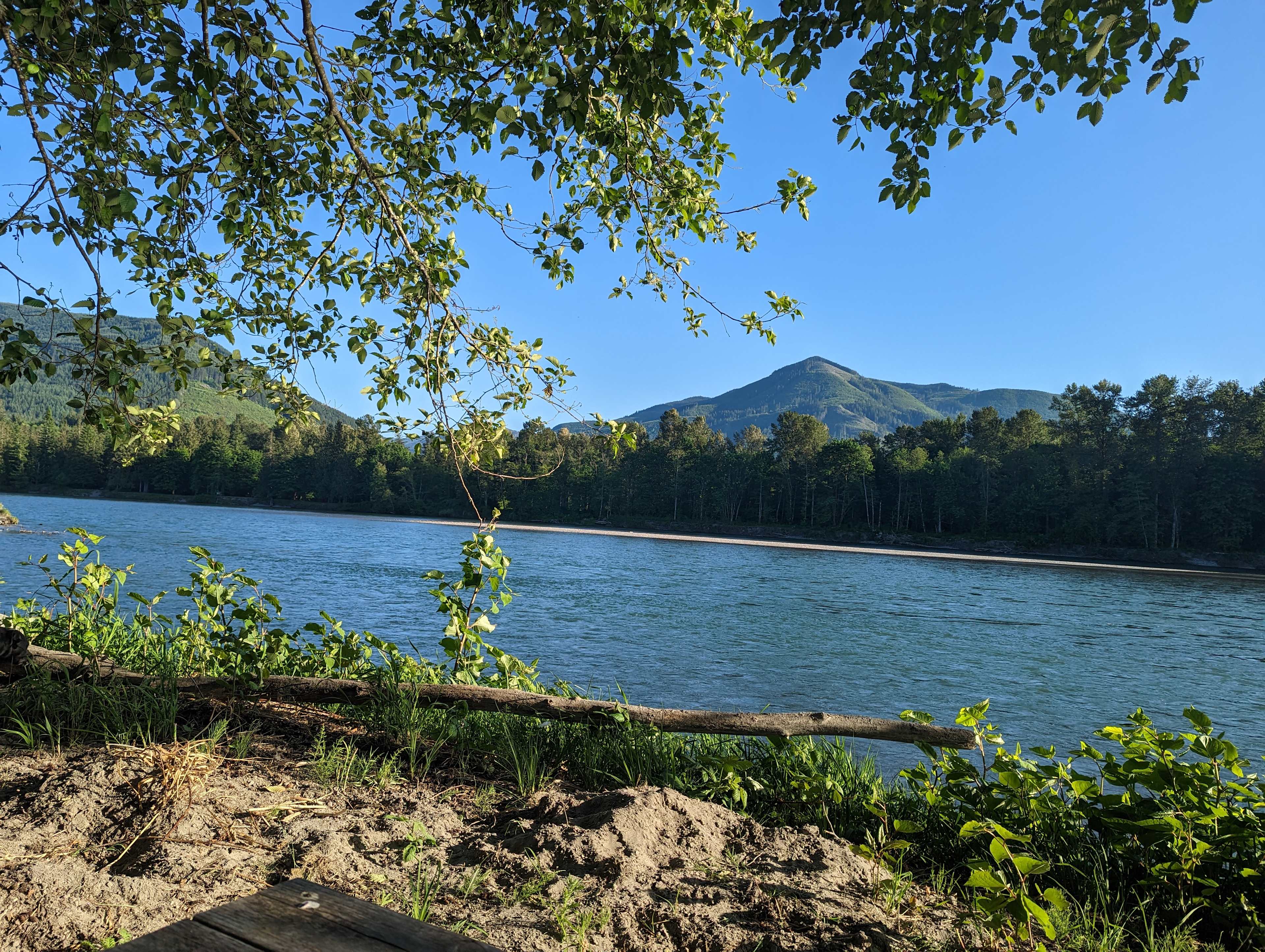 Picture of the site