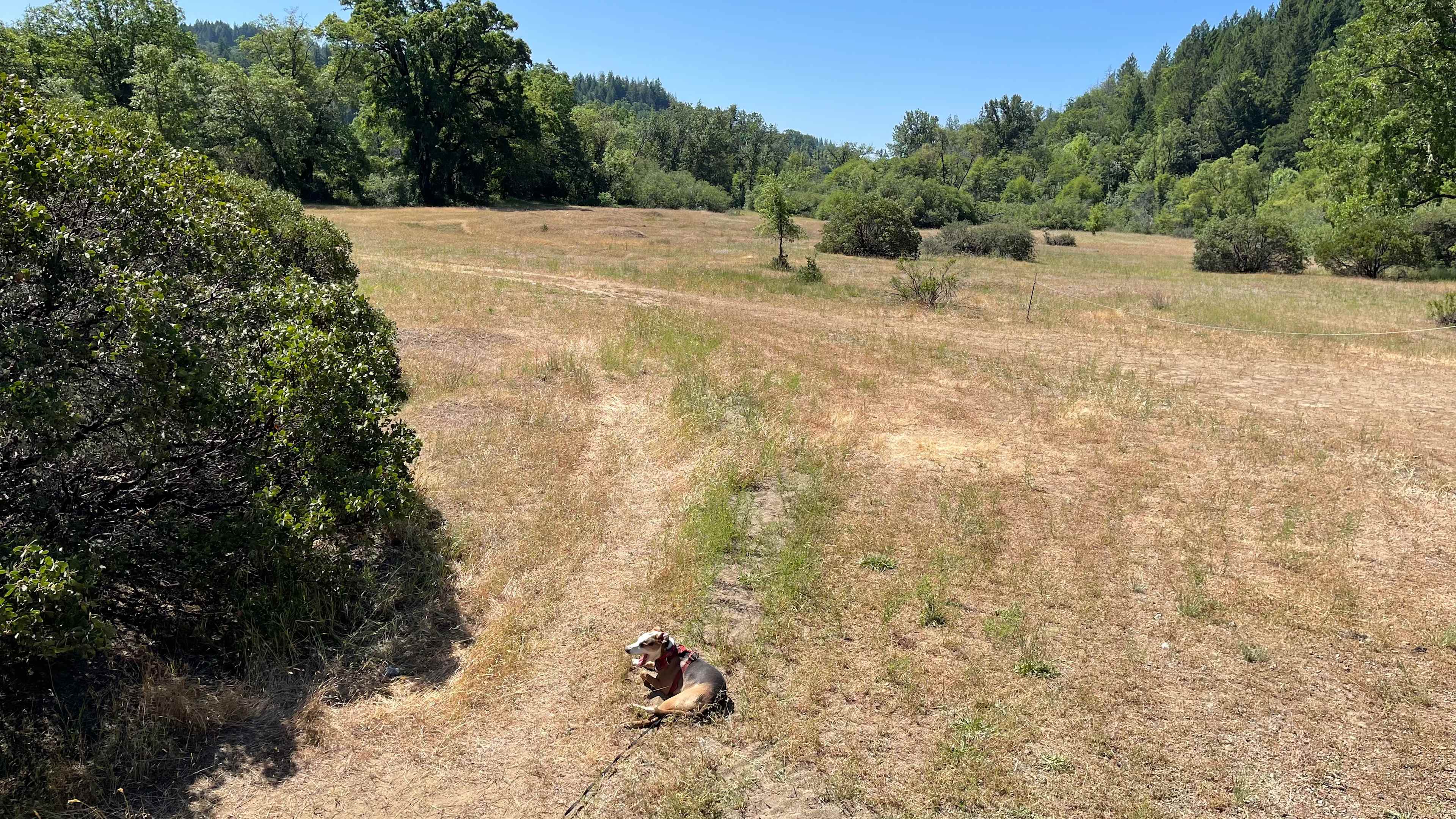 Lightworks ranch