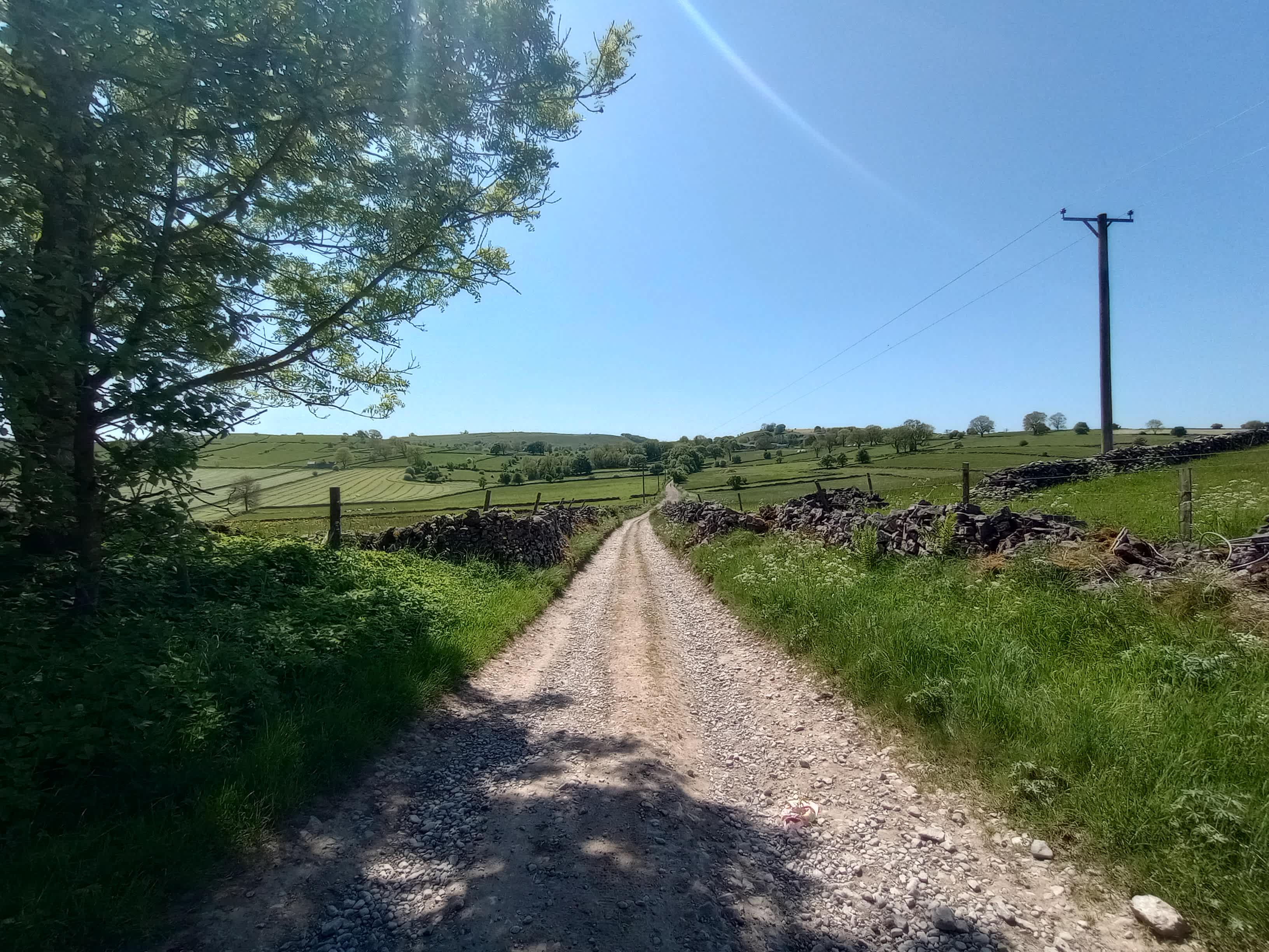 Nearby walk. 