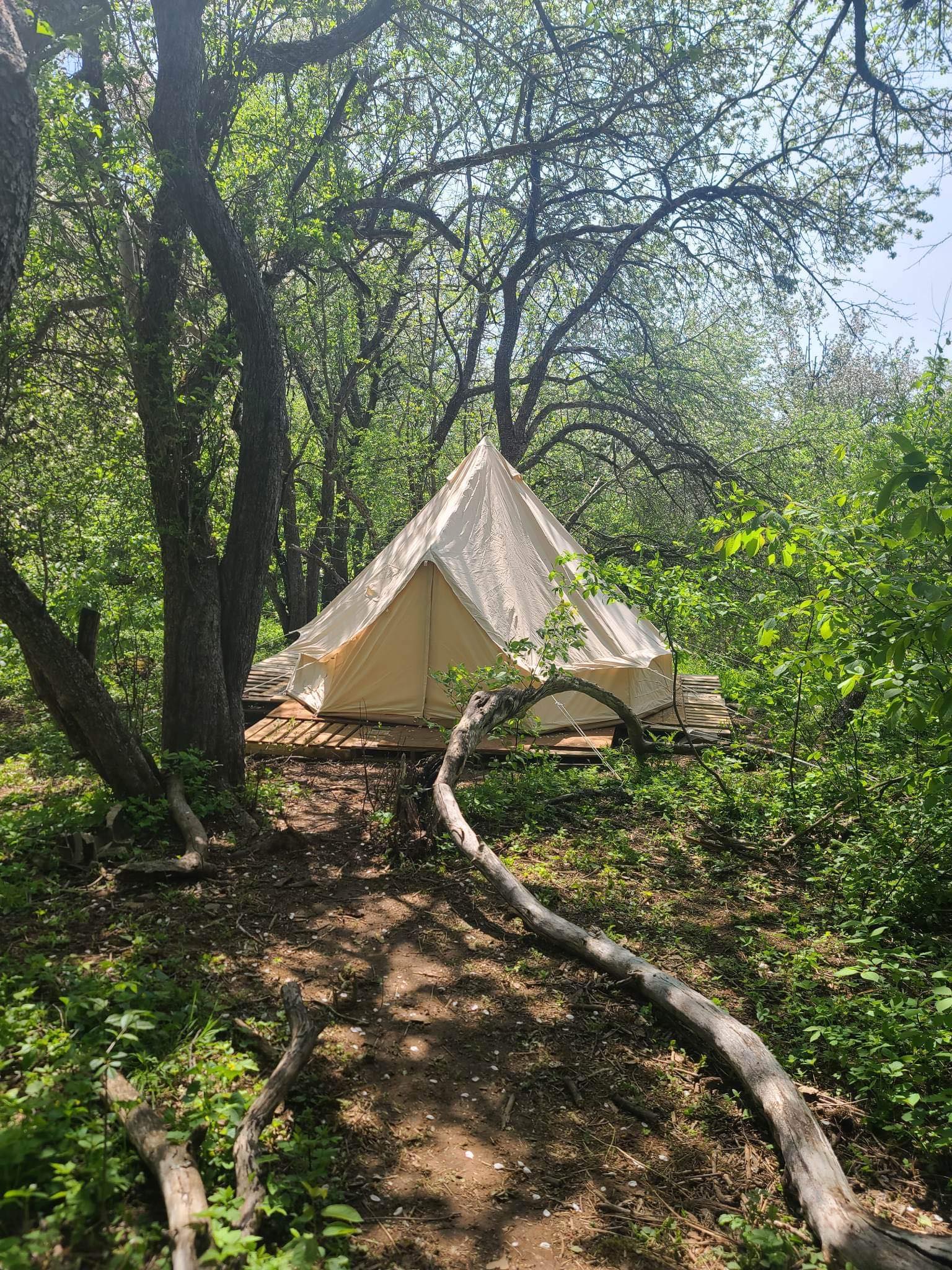 The Orchard - Bell Tent Glamping NB