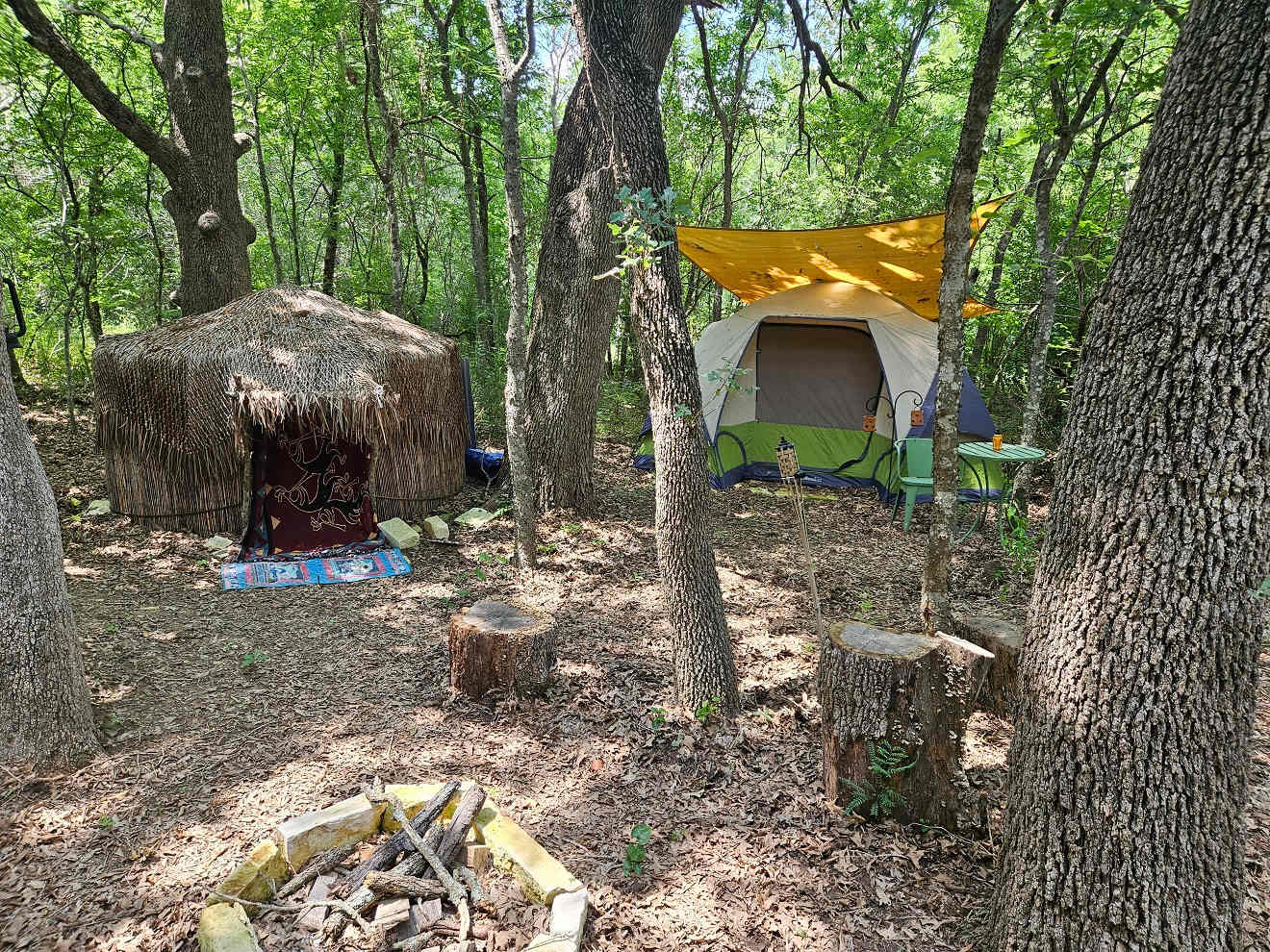 Picture of the site