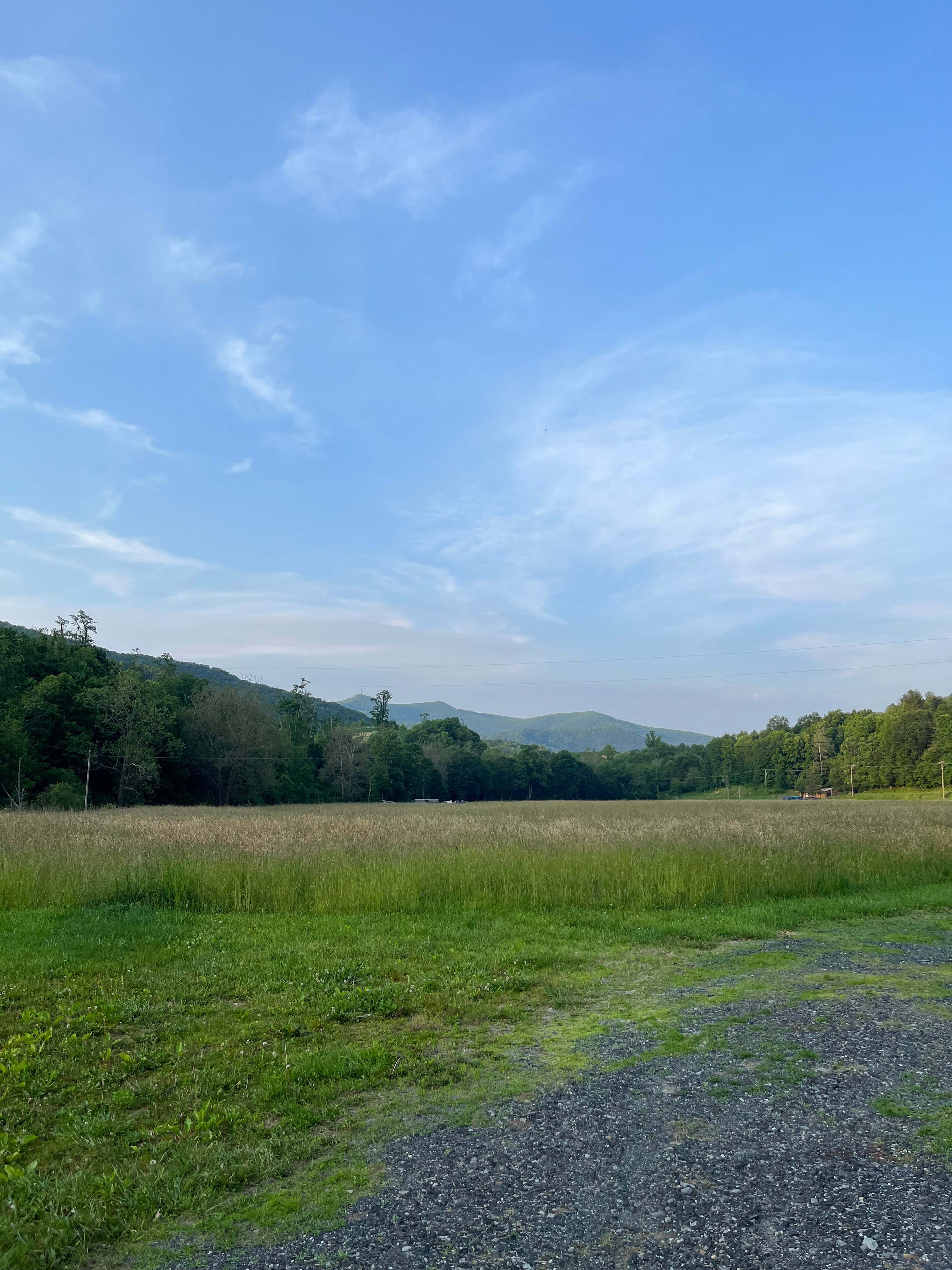 Buffalo Creek Farm