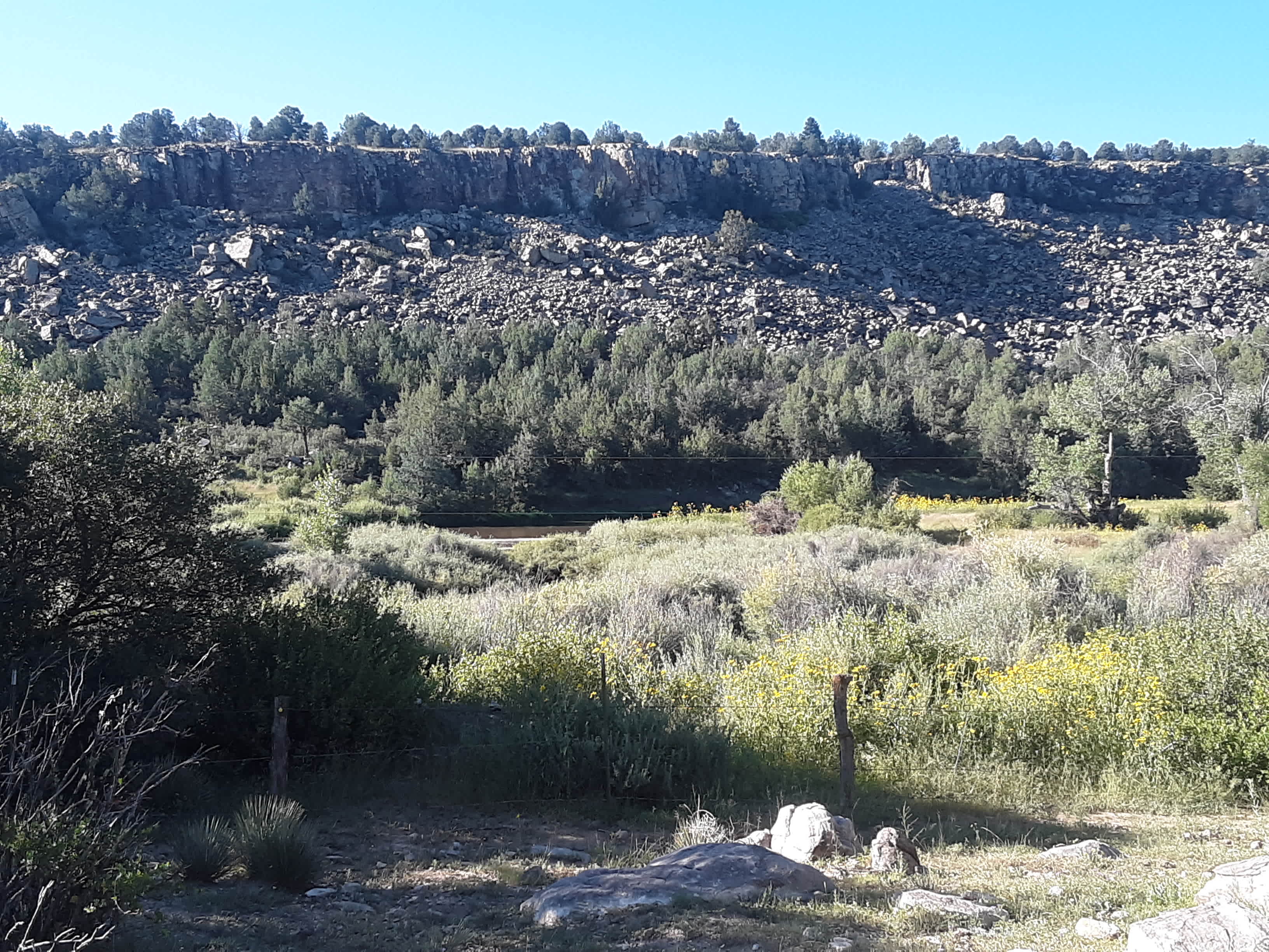 Picture of the site