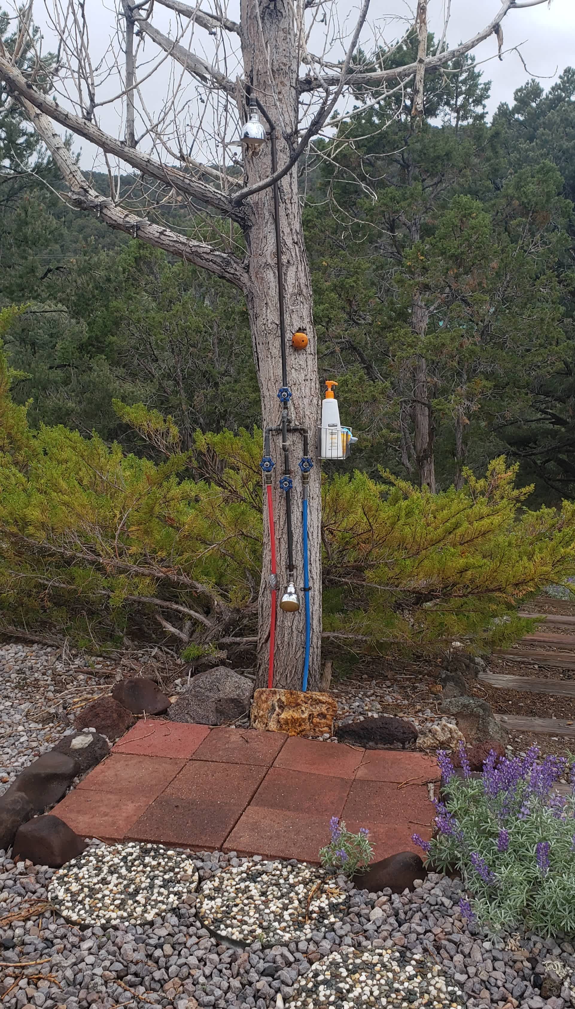 Outdoor shower and foot wash, plumbed with hot and cold water!