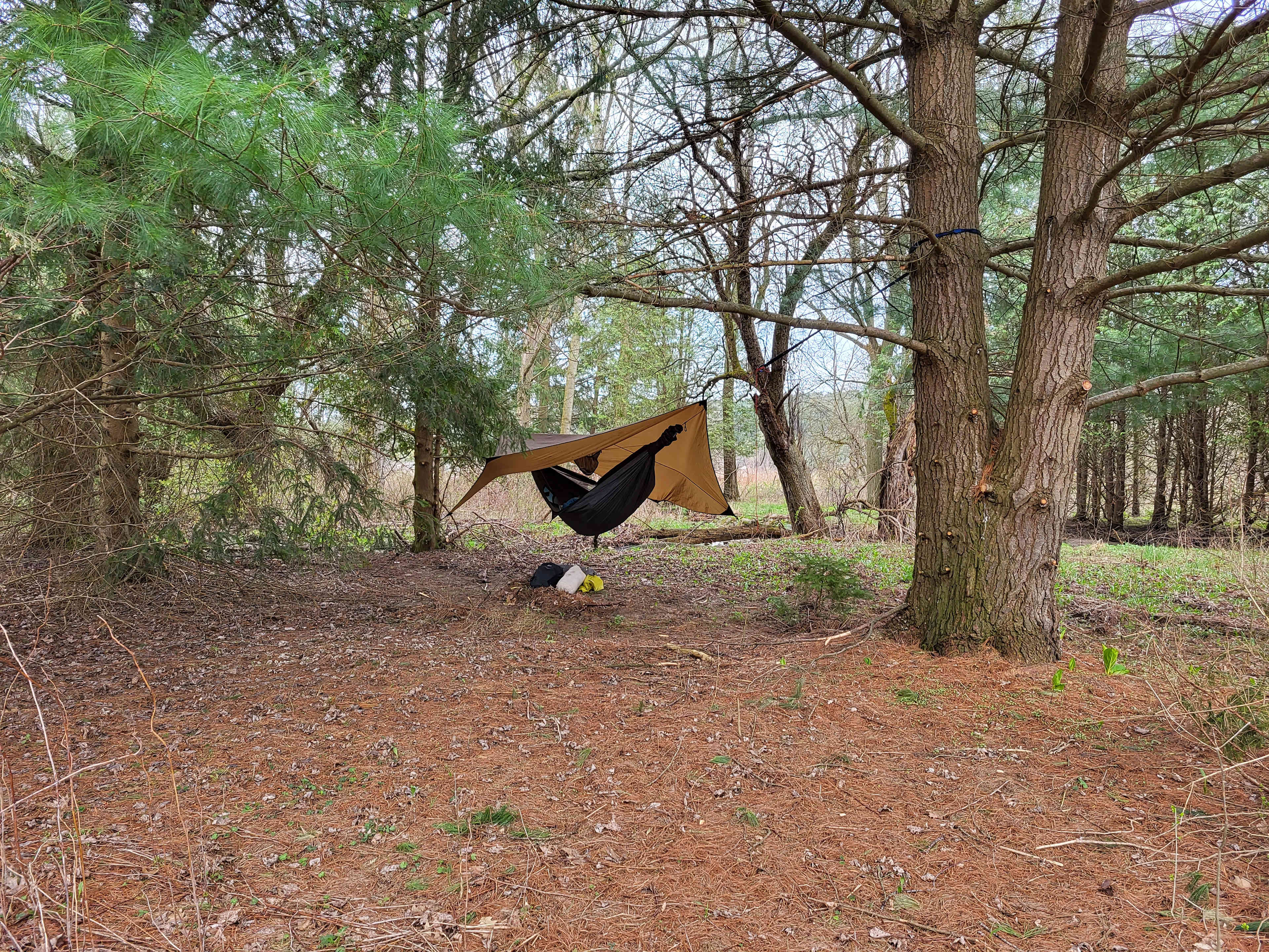 Hammock setup area next to the wildflower field
