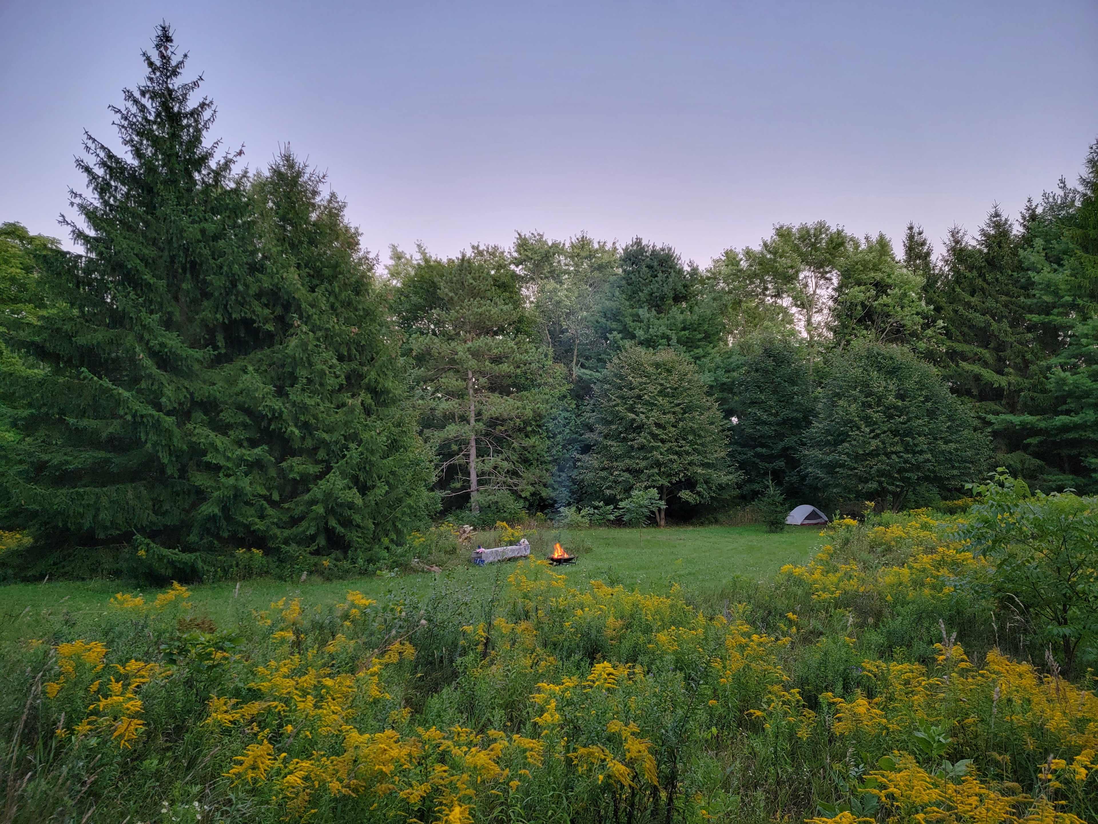 This is the camp area where you pitch your tent/hammock and have fires