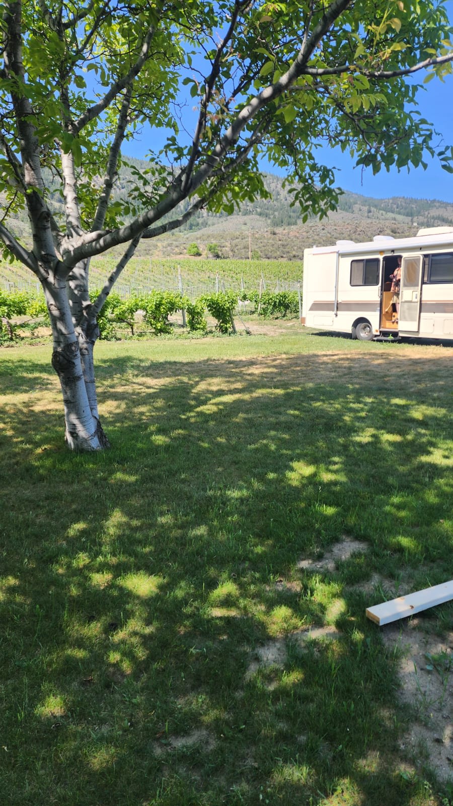 Mythology Vineyard