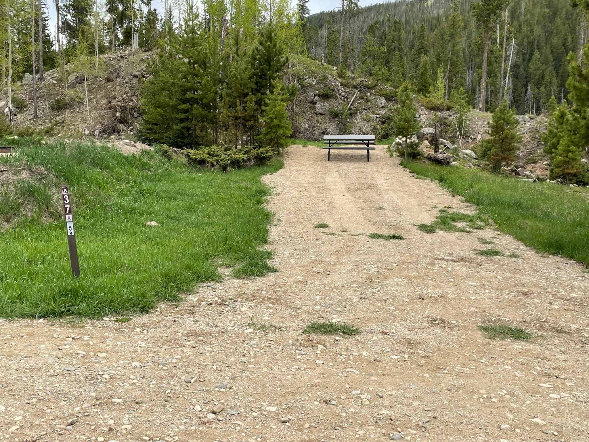 Picture of the site