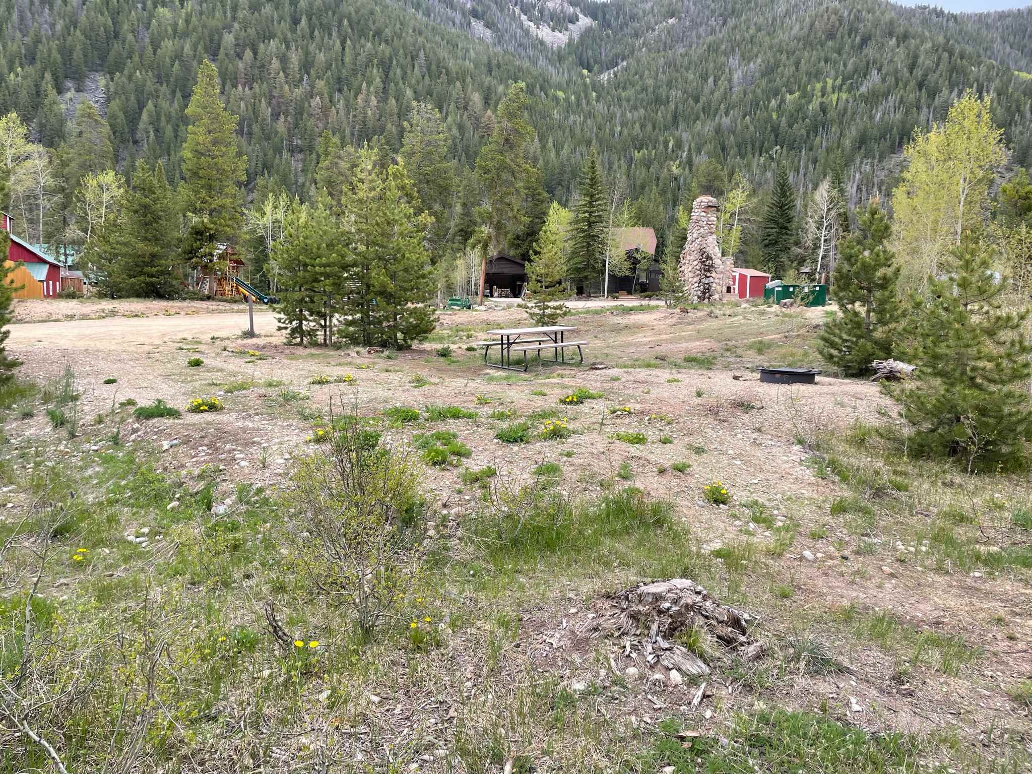 Picture of the site