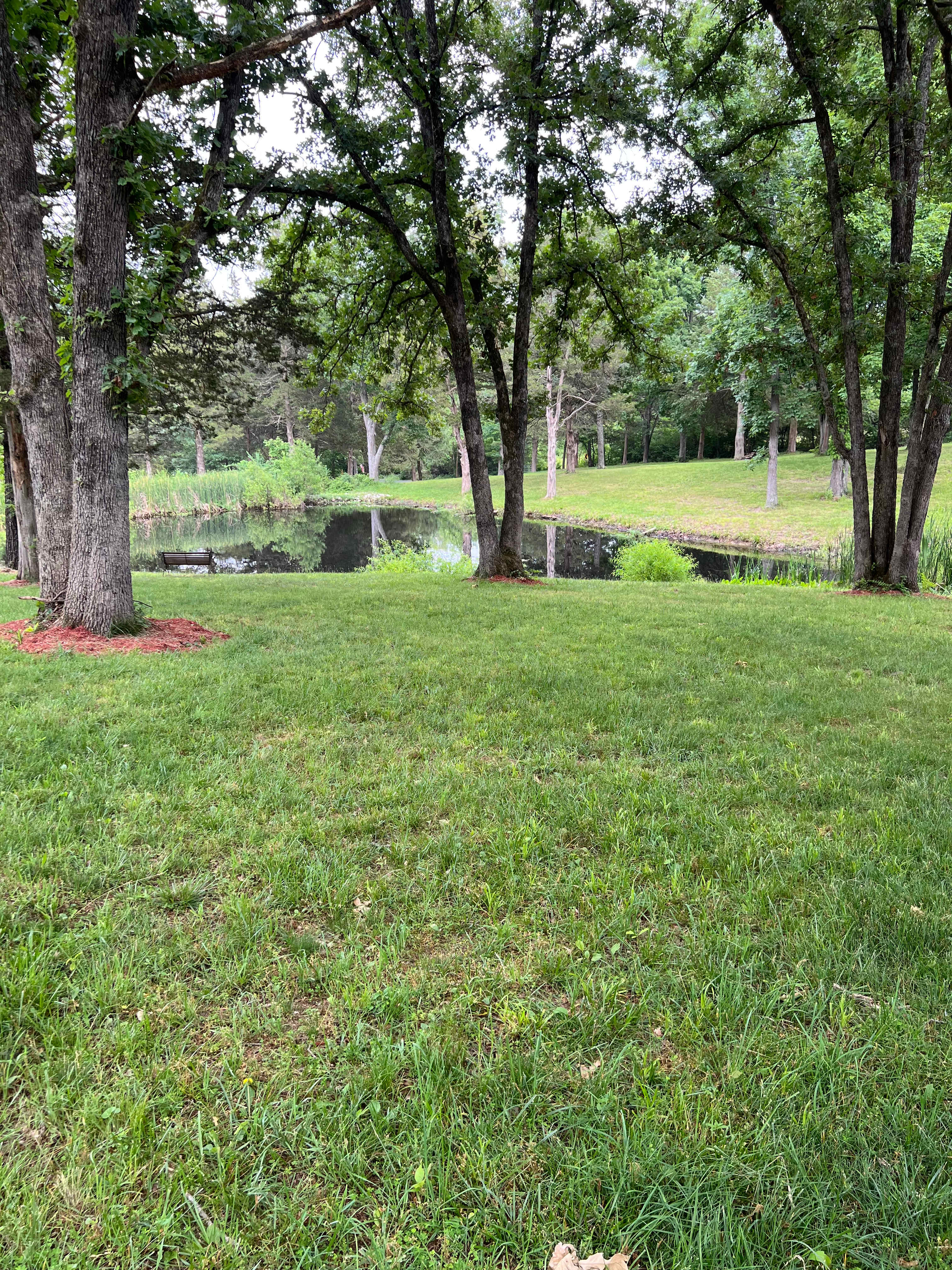 View from one of many tent locations 