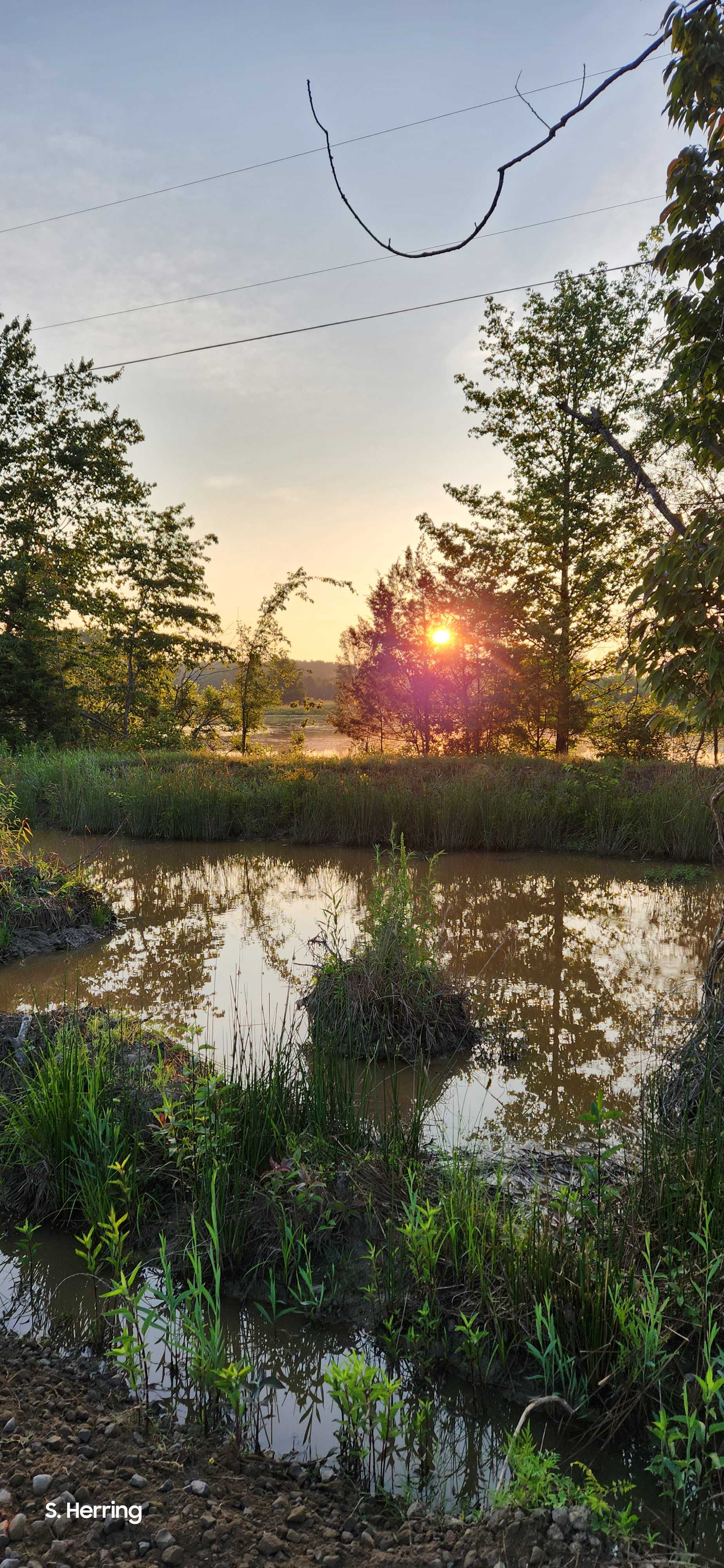 Beautiful sunrise just a 5-minute walk from the Barnyard sites . . .