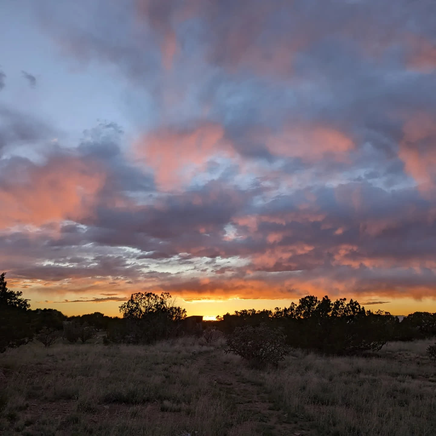 Mesa Top camping