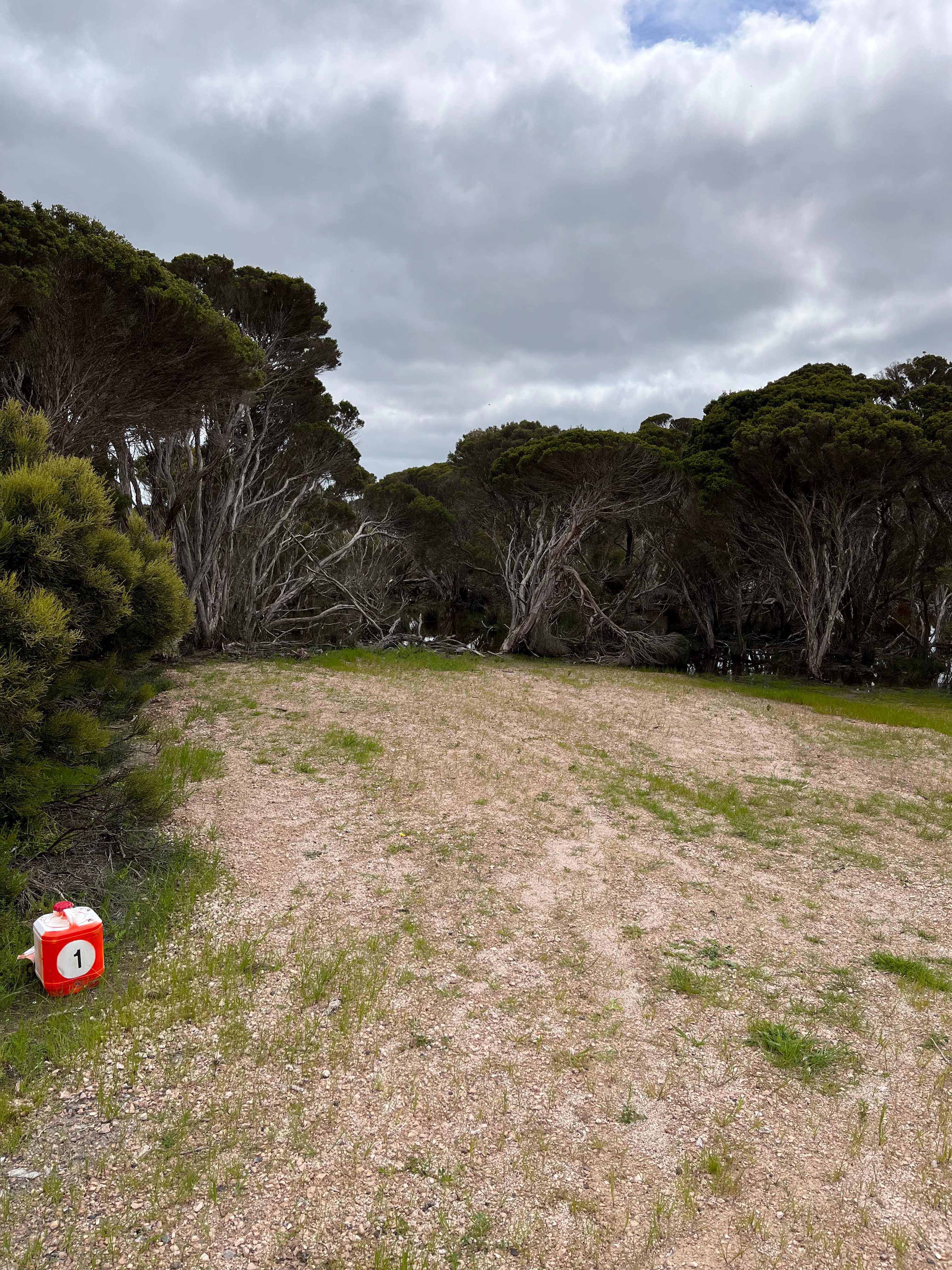 Marion Bay Bush Camping
