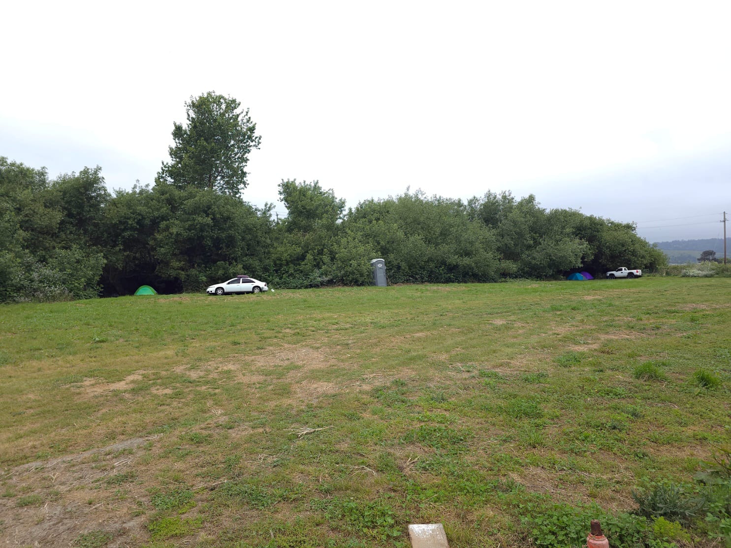 Hidden meadow