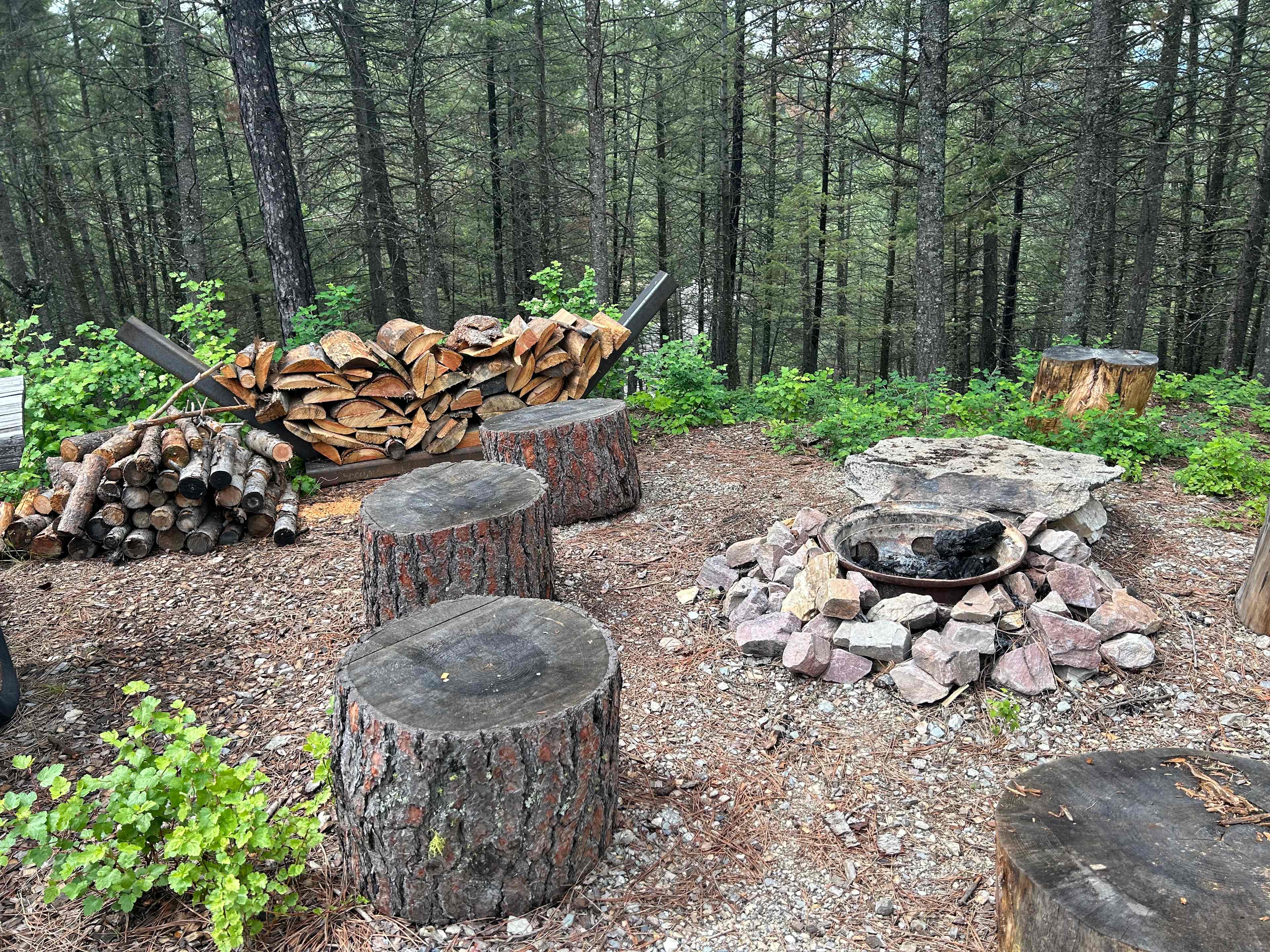 Picture of the site