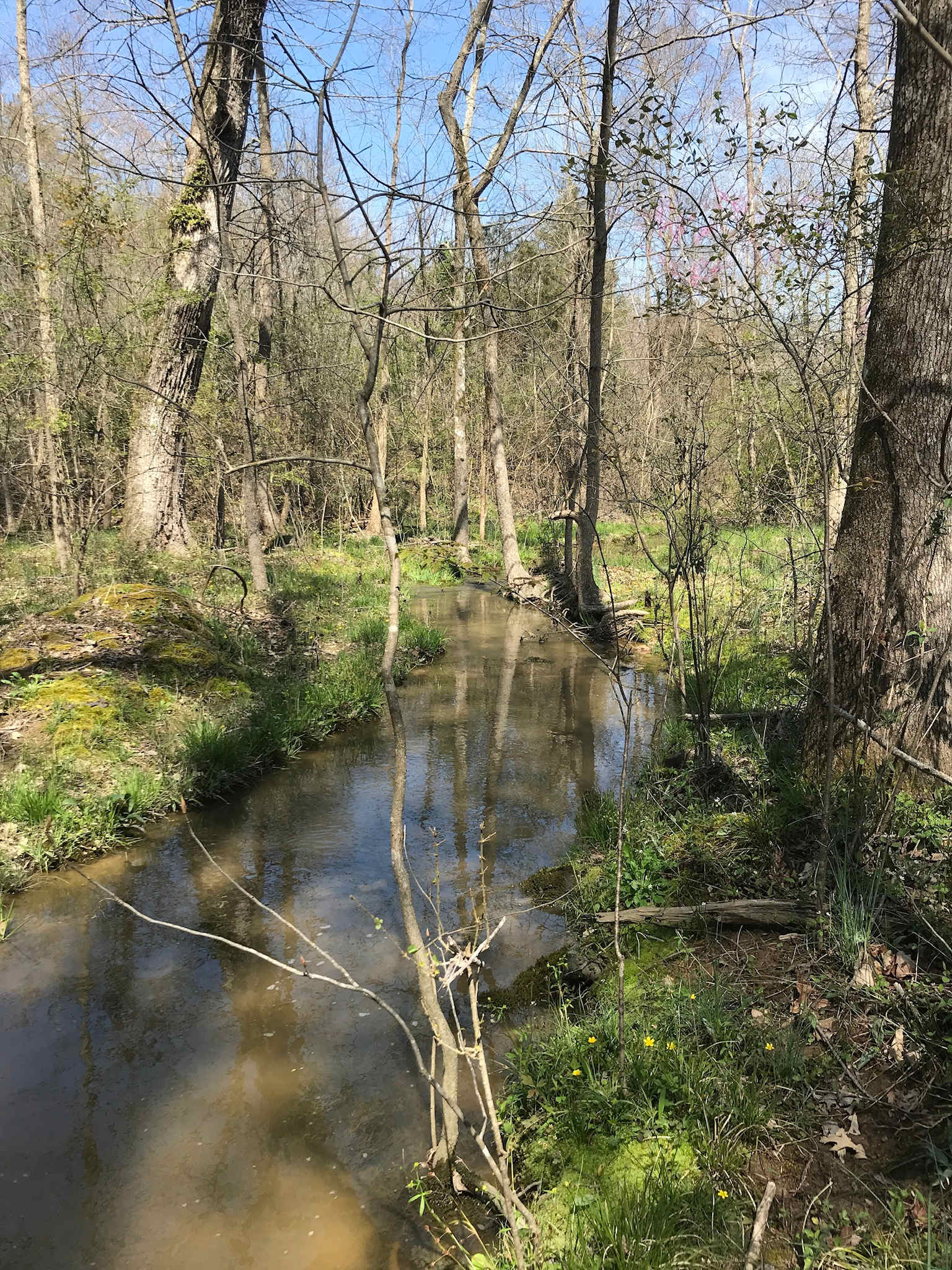 The Farm at Long Creek