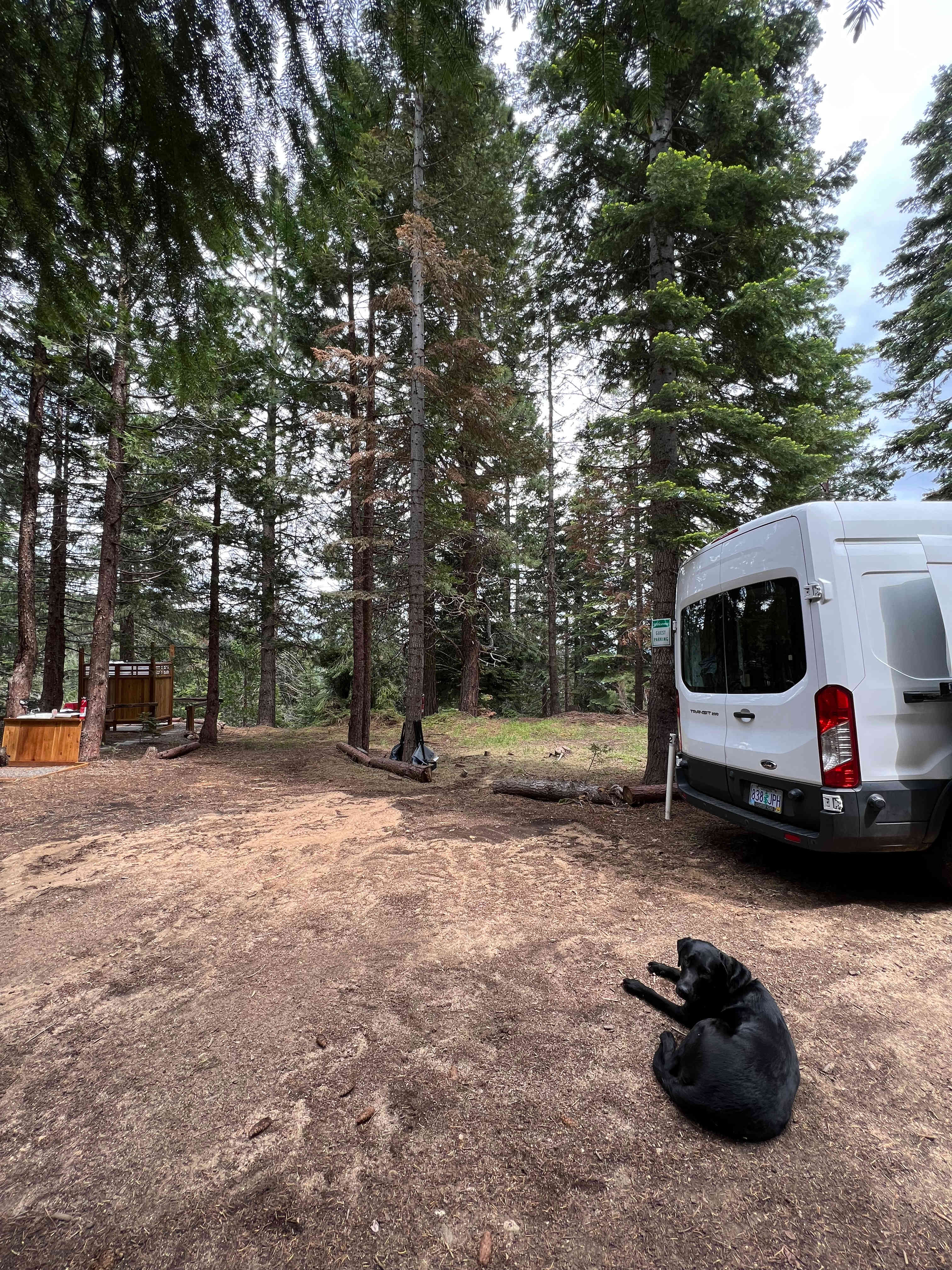 New! Camp Ashland.