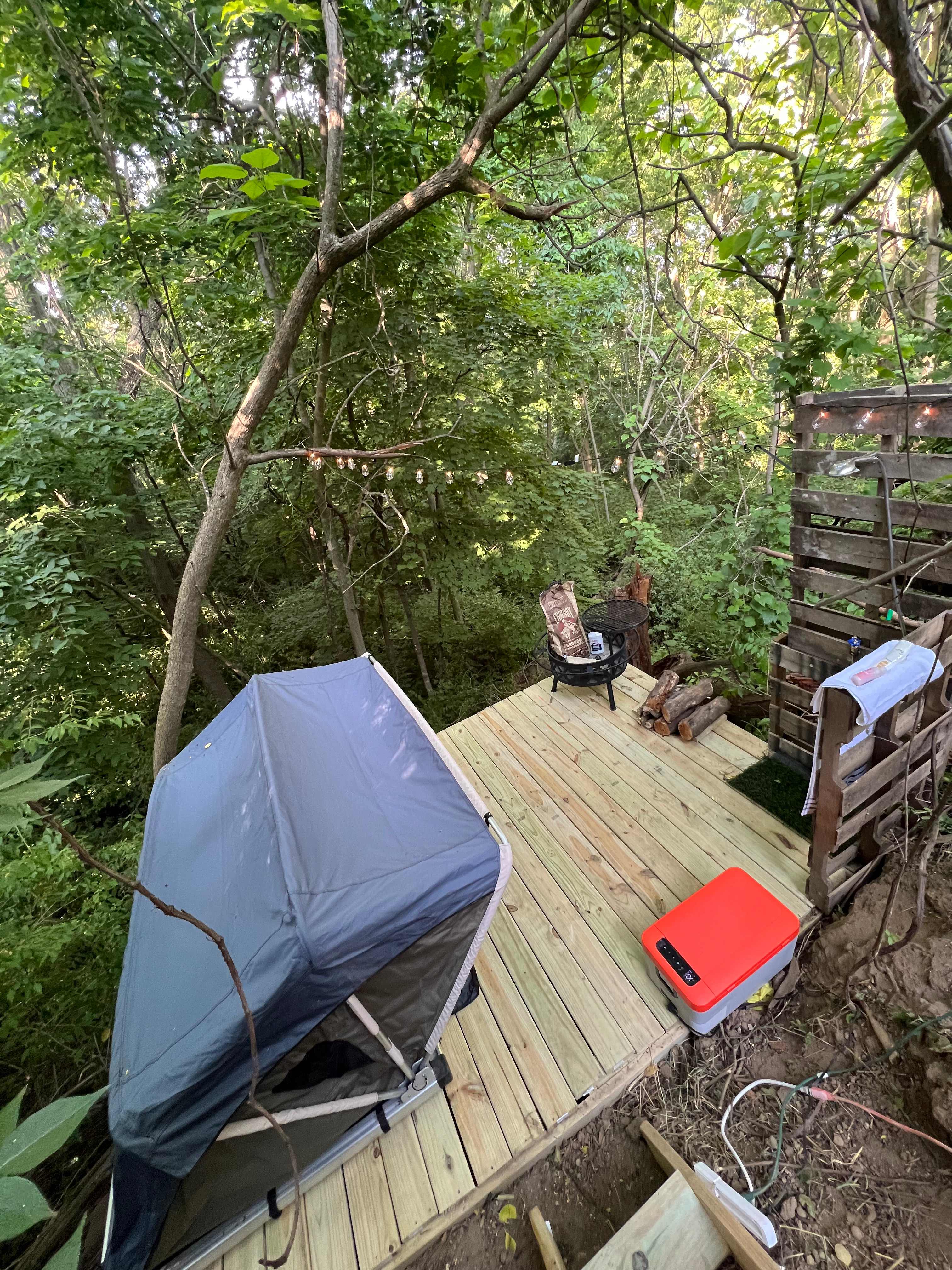 Campsite Within The Trees