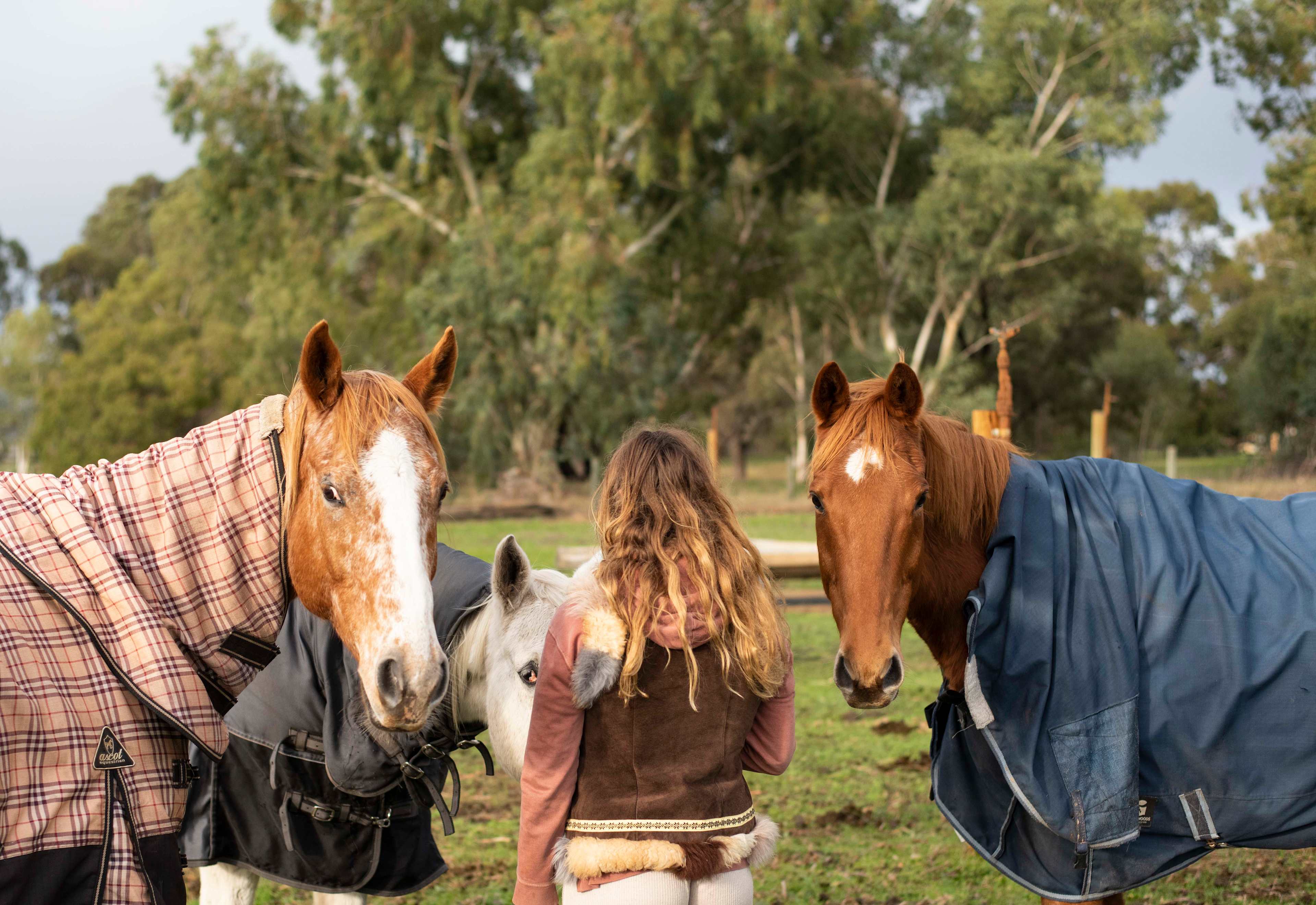 Everything Horses Ltd