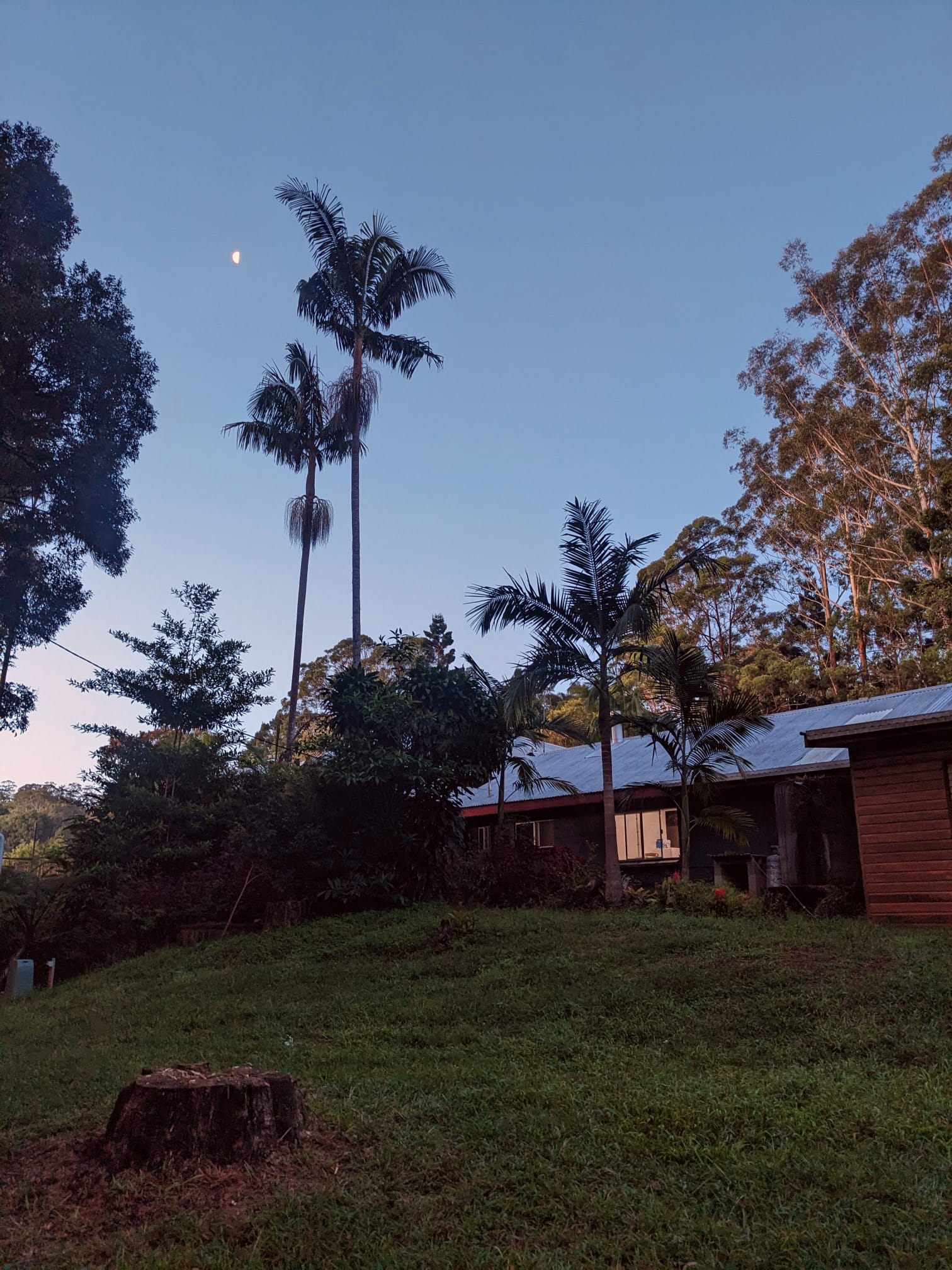 Rainforest Retreat