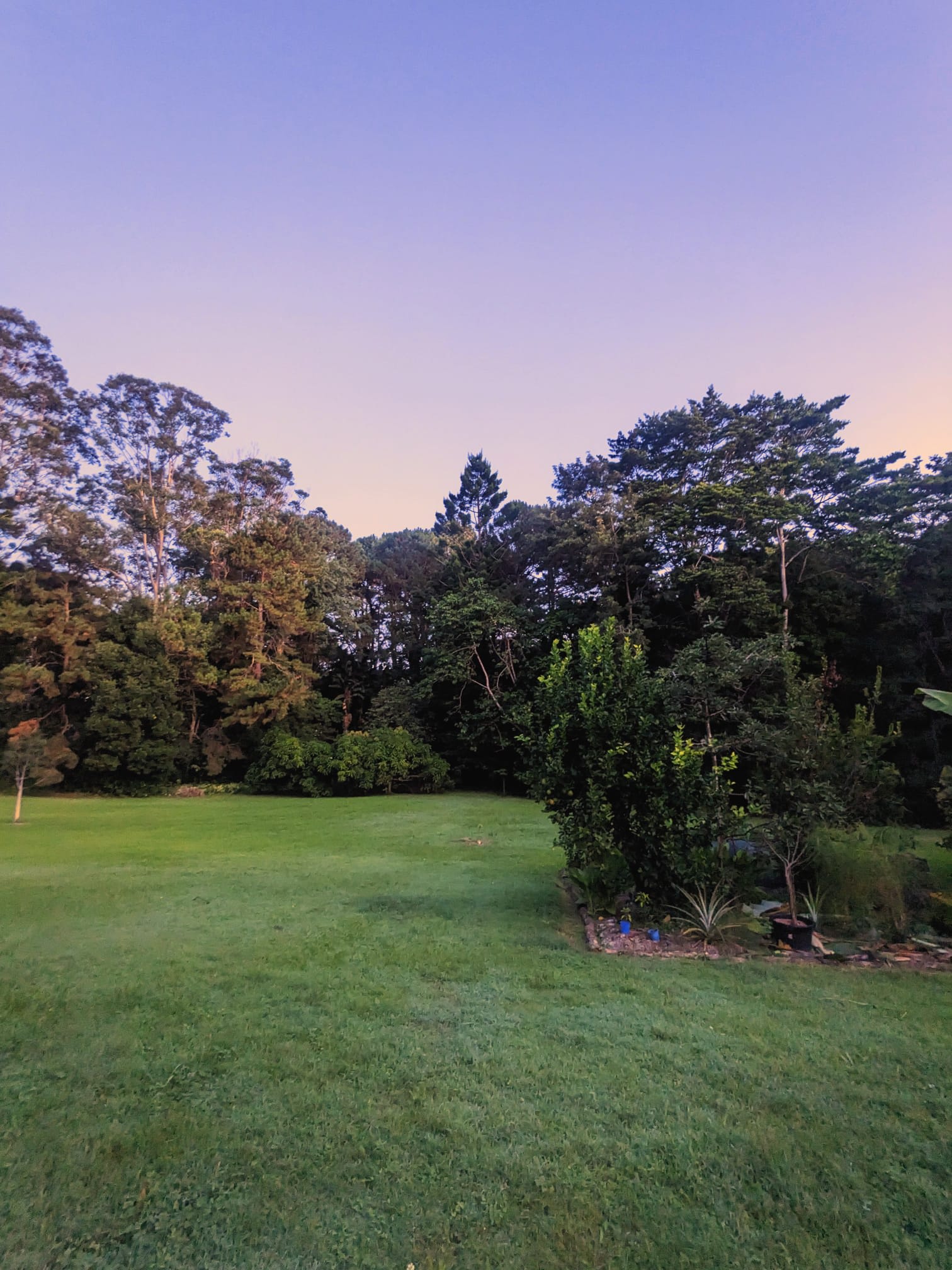 Rainforest Retreat