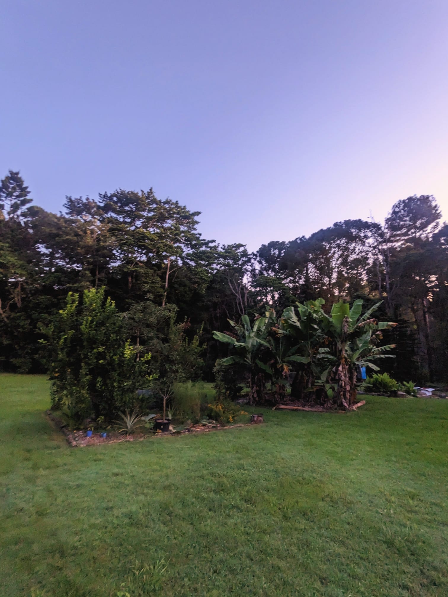 Rainforest Retreat