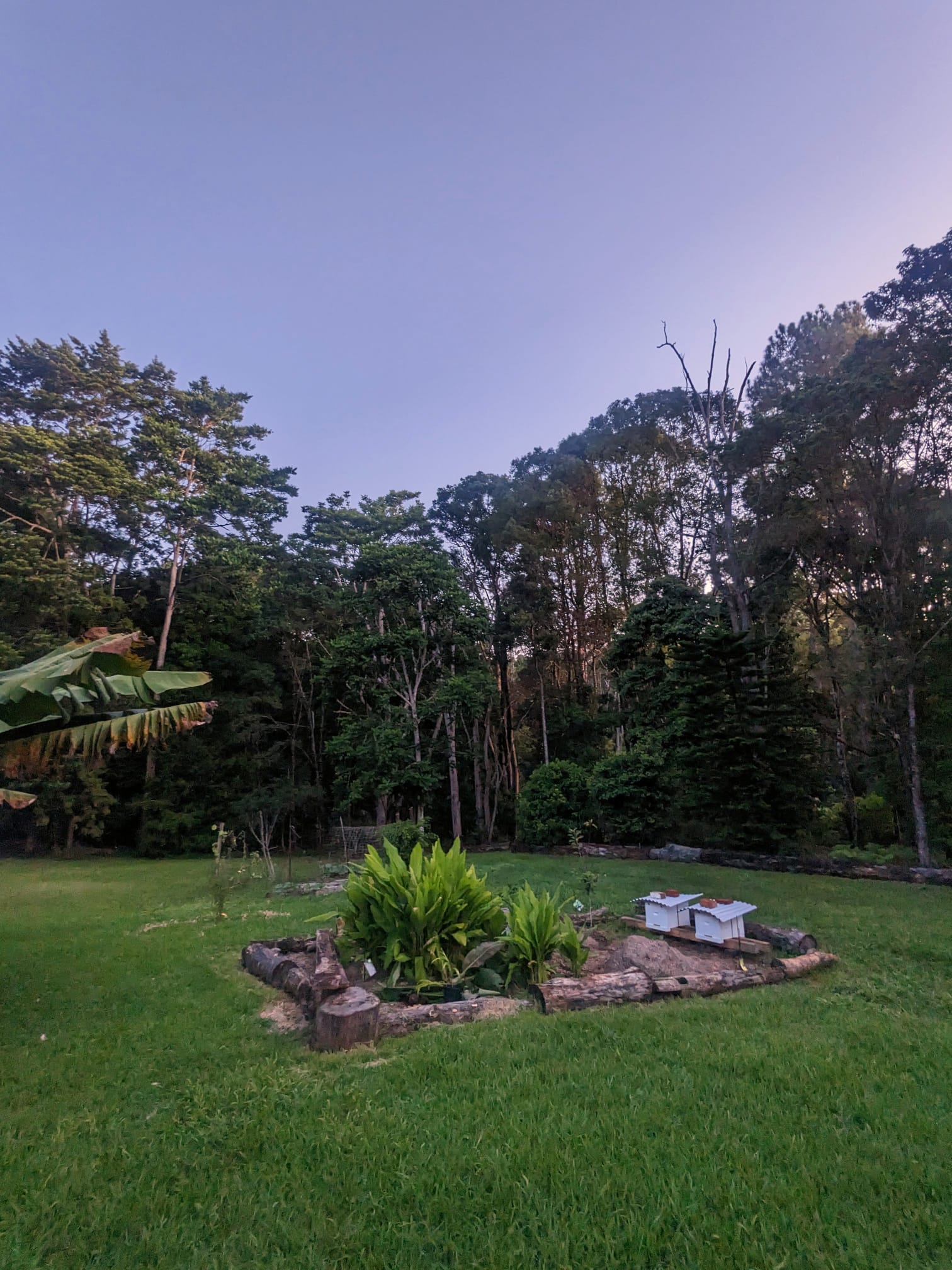 Rainforest Retreat